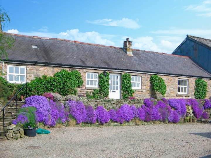 Felbrook Cottage - Haltwhistle