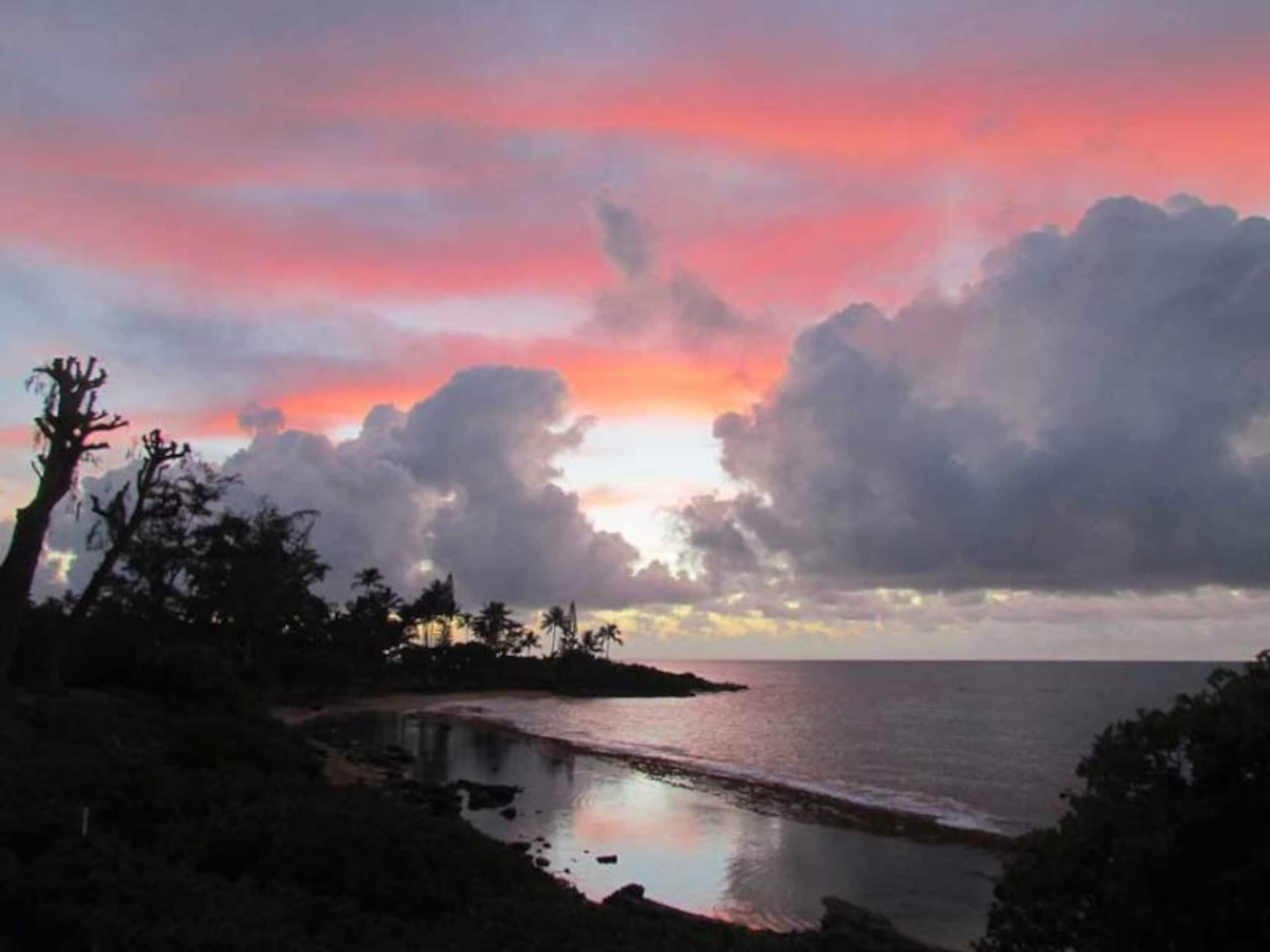 Oceanfront Studio with Panoramic Views - Photo 13