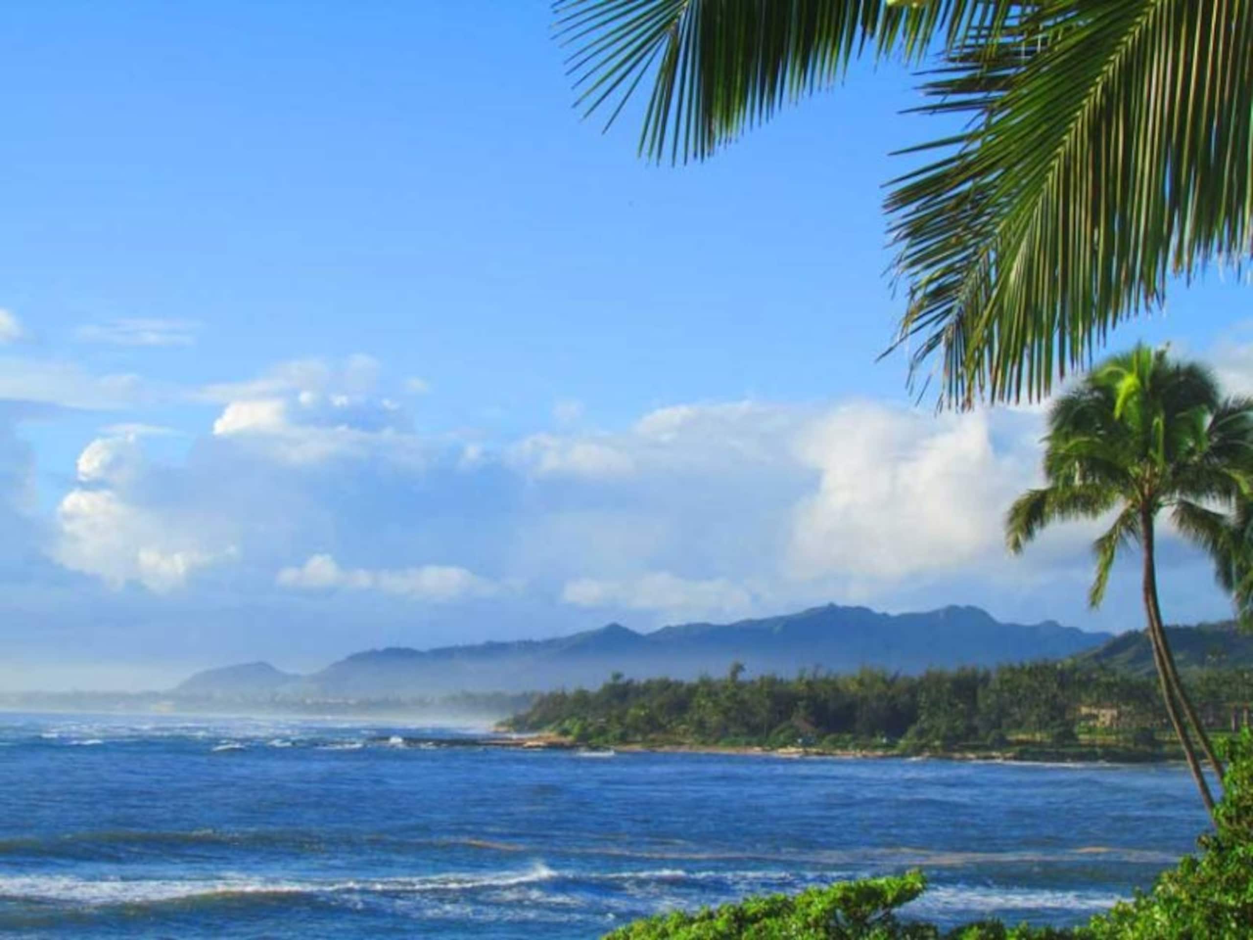 Oceanfront Studio with Panoramic Views - Photo 14