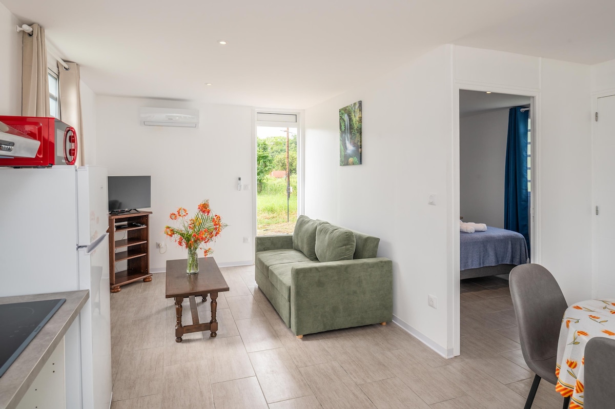 The living area contains a green sofa positioned beside a wooden coffee table, with a television on a stand nearby. Natural light floods the space through large windows, while a doorway leads to one of the bedrooms in the background. A bright bouquet adds a touch of color.