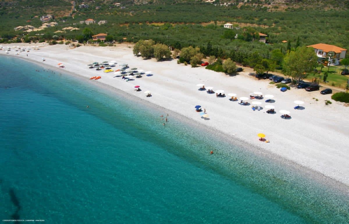 An aerial view of a serene beach featuring crystal clear waters gently lapping against a pebbly shore. Sun umbrellas and beach chairs create a vibrant scene, with visitors enjoying the sun. Olive trees dot the landscape, providing natural shade in the background.