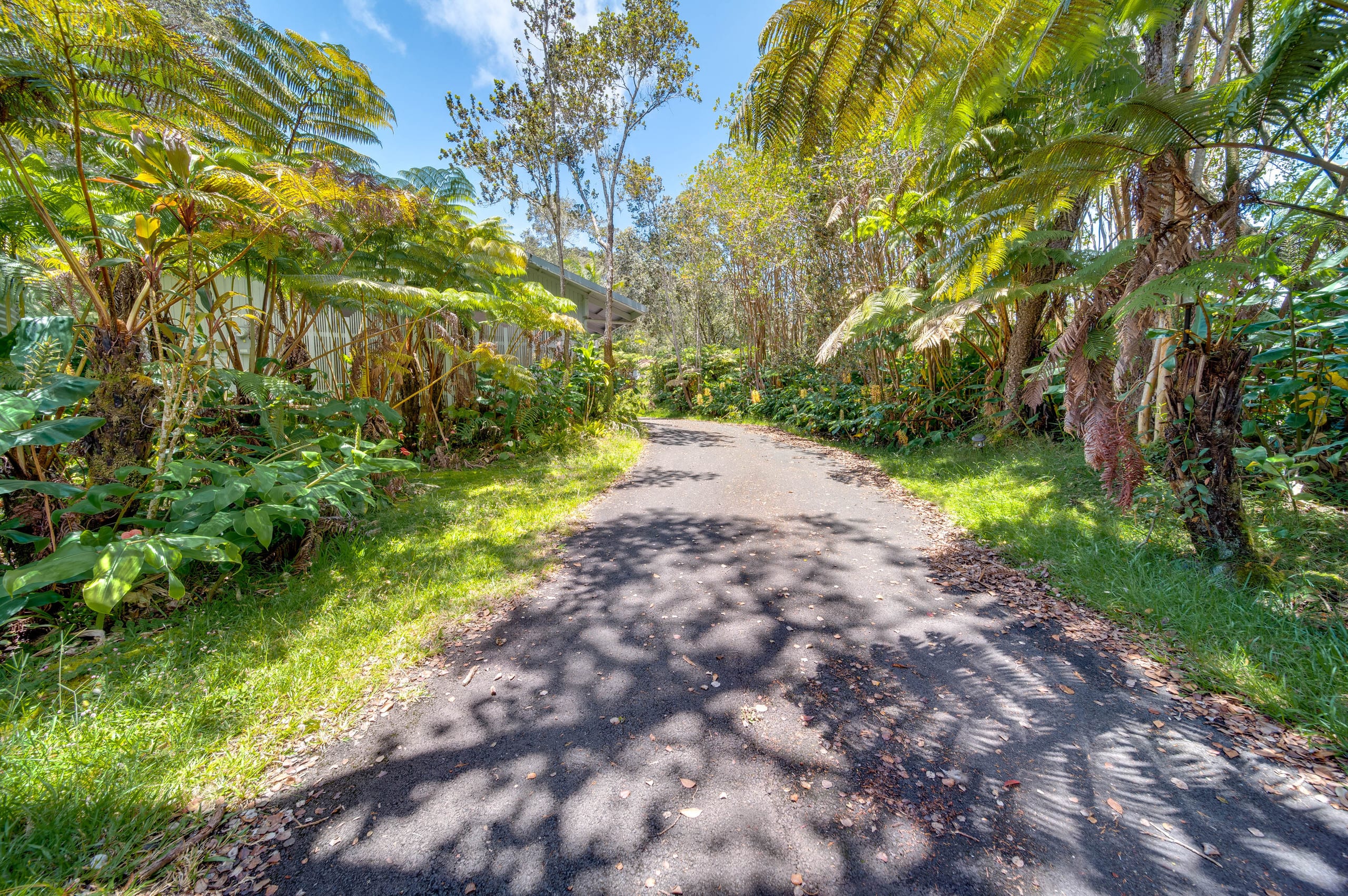 Home in Volcano · ★4.65 · 3 bedrooms · 4 beds · 2 baths - Image 24