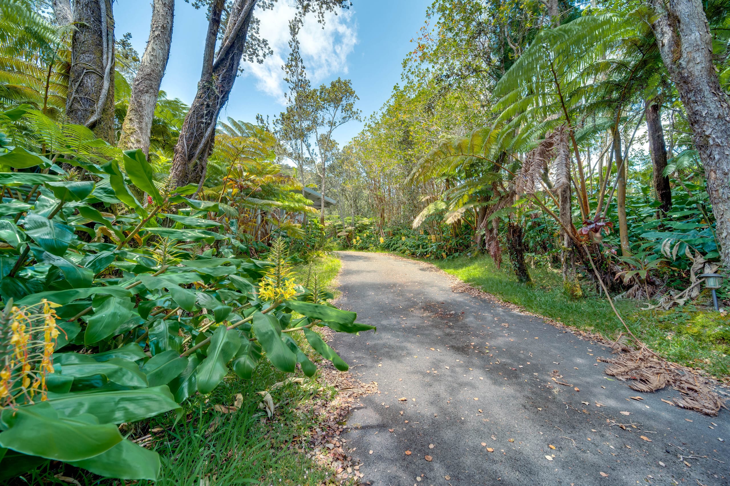 Home in Volcano · ★4.65 · 3 bedrooms · 4 beds · 2 baths - Image 25