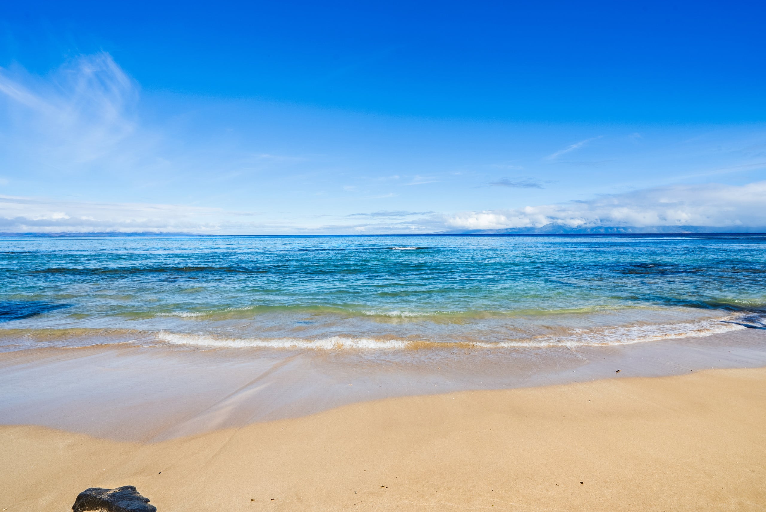 Condo in Lahaina · ★4.86 · 2 bedrooms · 4 beds · 2 baths - Image 51