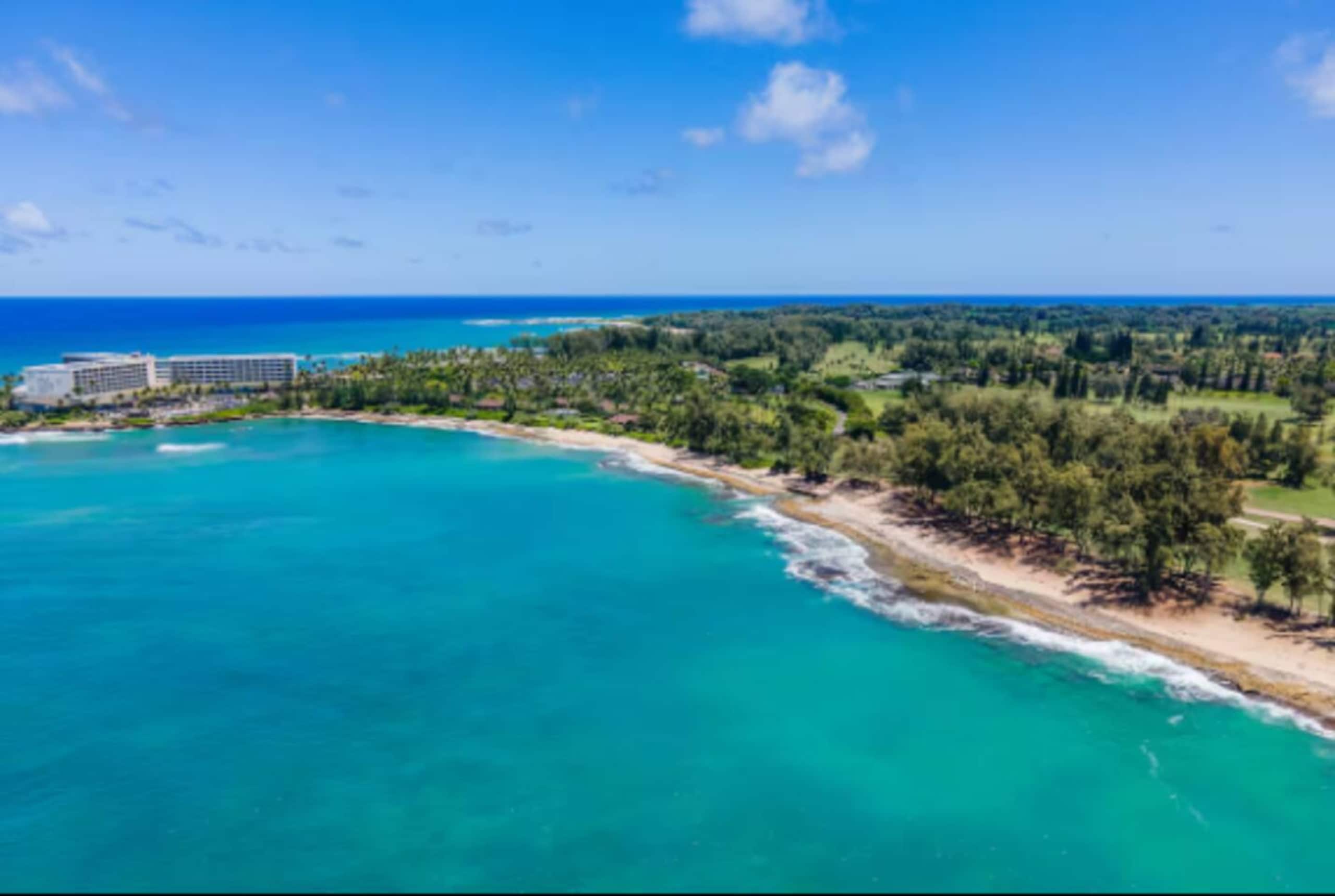 Home in Kahuku · ★4.81 · 1 bedroom · 3 beds · 1 private bath - Image 27