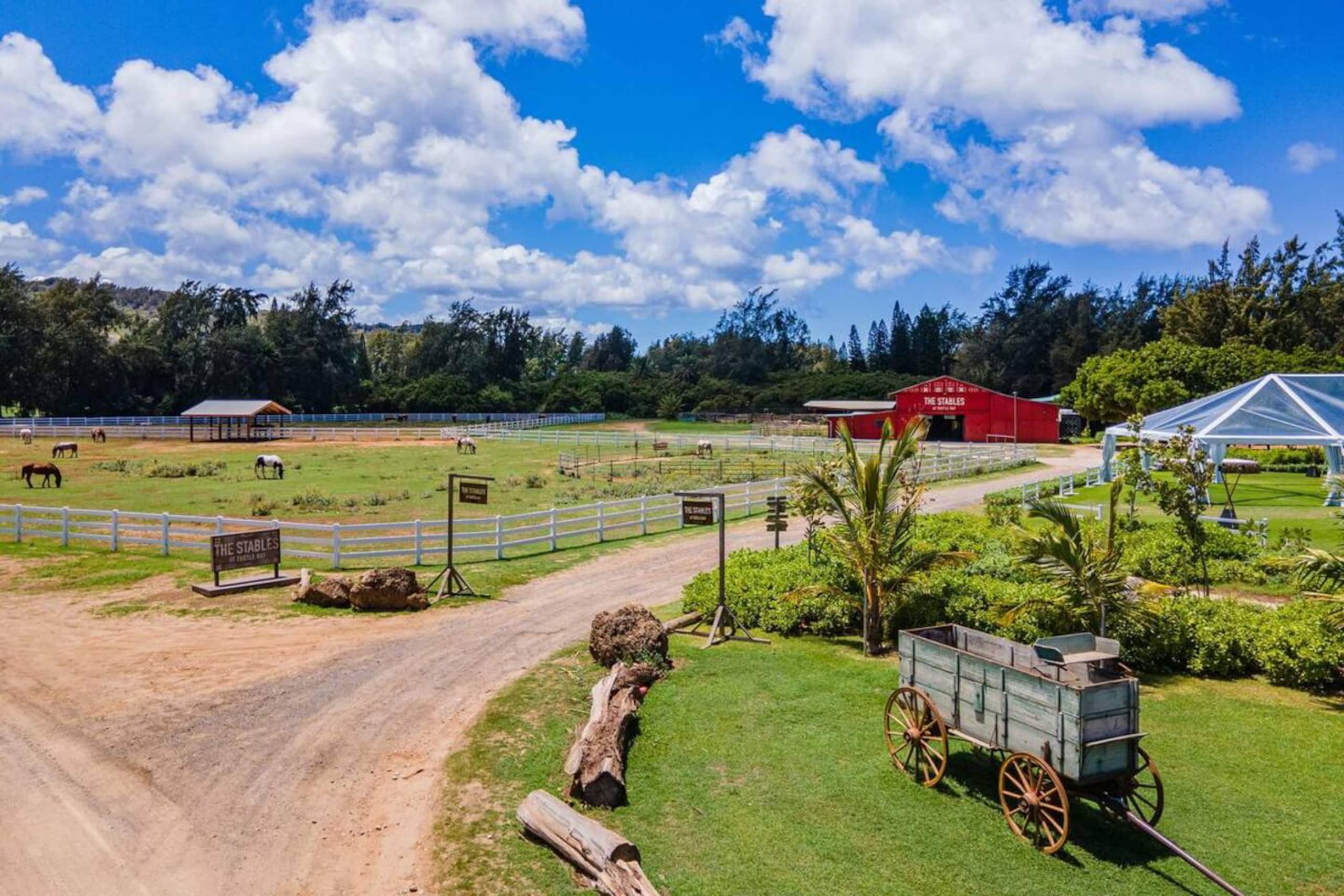 Home in Kahuku · ★4.81 · 1 bedroom · 3 beds · 1 private bath - Image 23