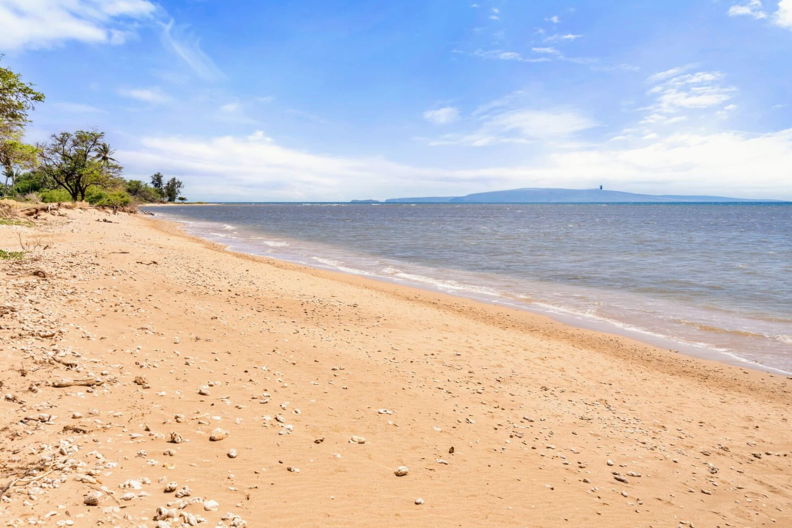 Condo in Kihei · ★4.94 · 1 bedroom · 2 beds · 1 bath - Image 60