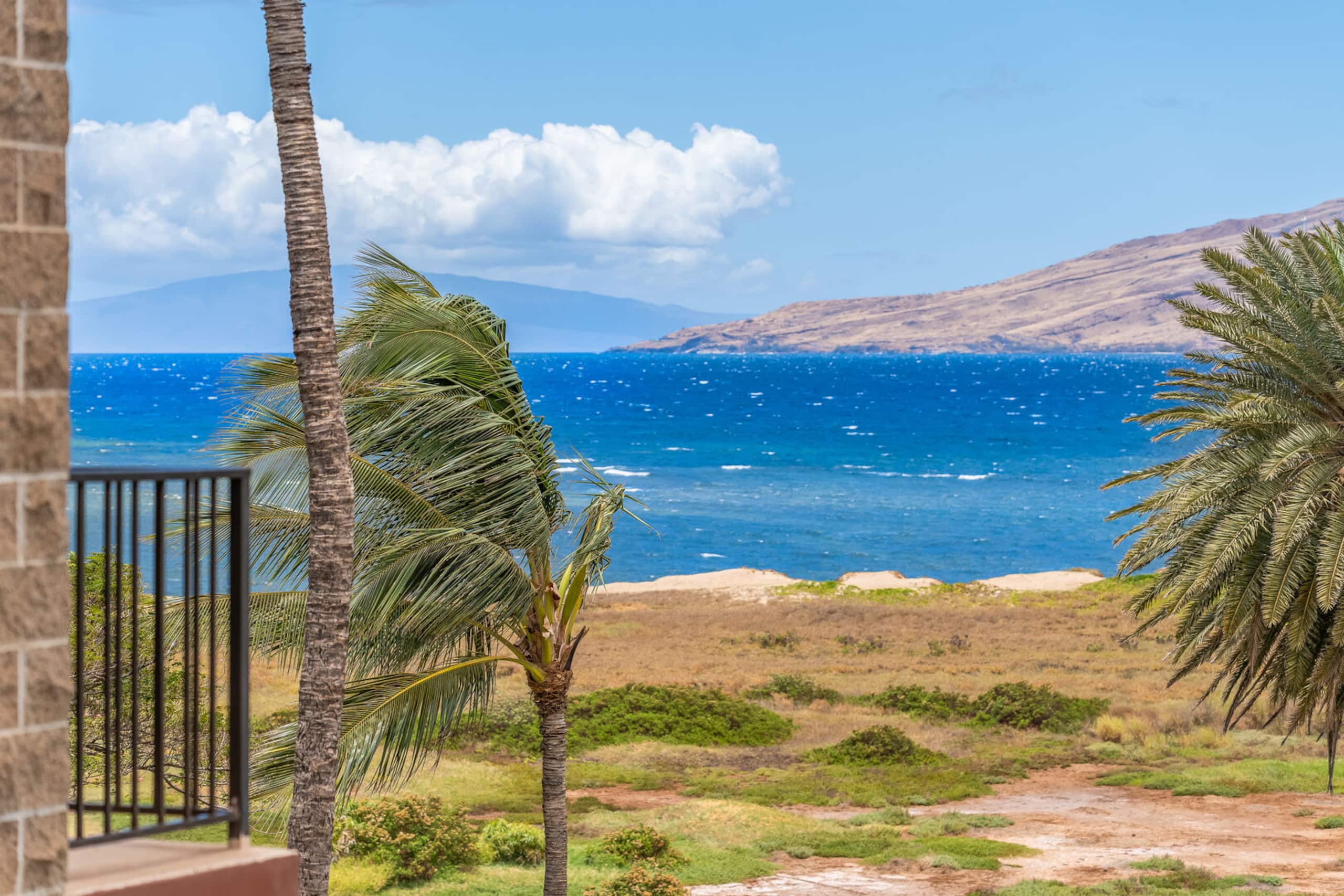 Condo in Kihei · ★4.94 · 1 bedroom · 2 beds · 1 bath - Image 25