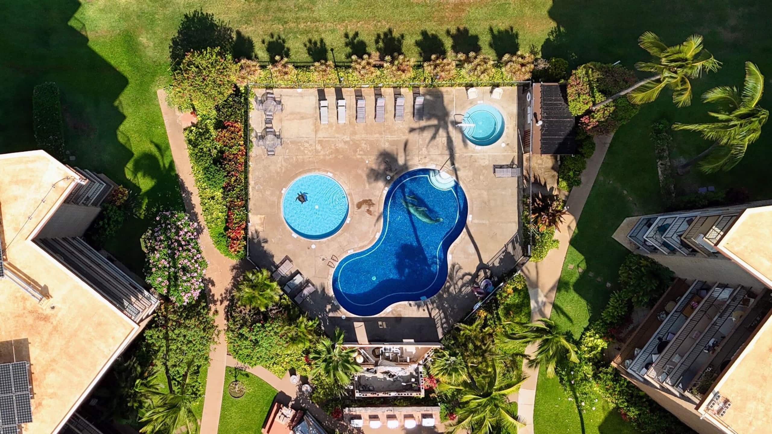 Condo in Kihei · ★4.94 · 1 bedroom · 2 beds · 1 bath - Image 68