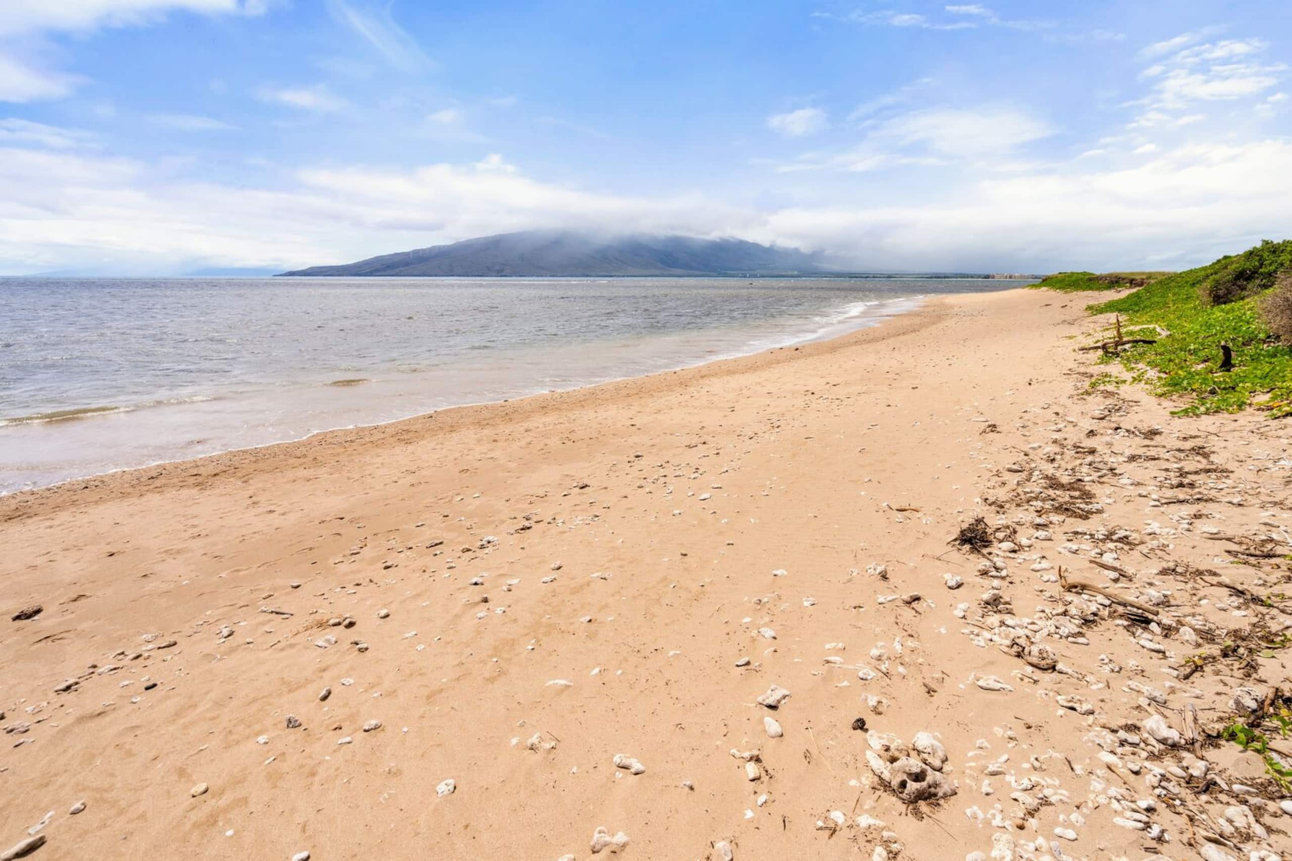 Condo in Kihei · ★4.94 · 1 bedroom · 2 beds · 1 bath - Image 64