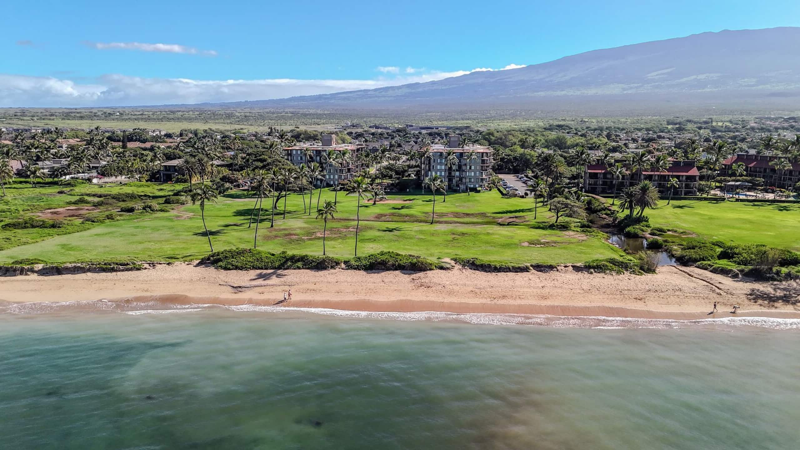 Condo in Kihei · ★4.94 · 1 bedroom · 2 beds · 1 bath - Image 51