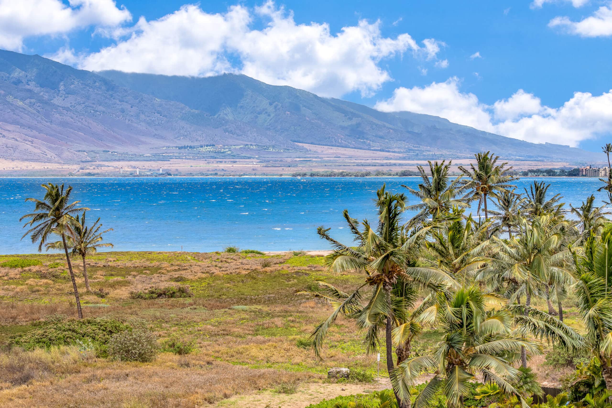 Condo in Kihei · ★4.94 · 1 bedroom · 2 beds · 1 bath - Image 23