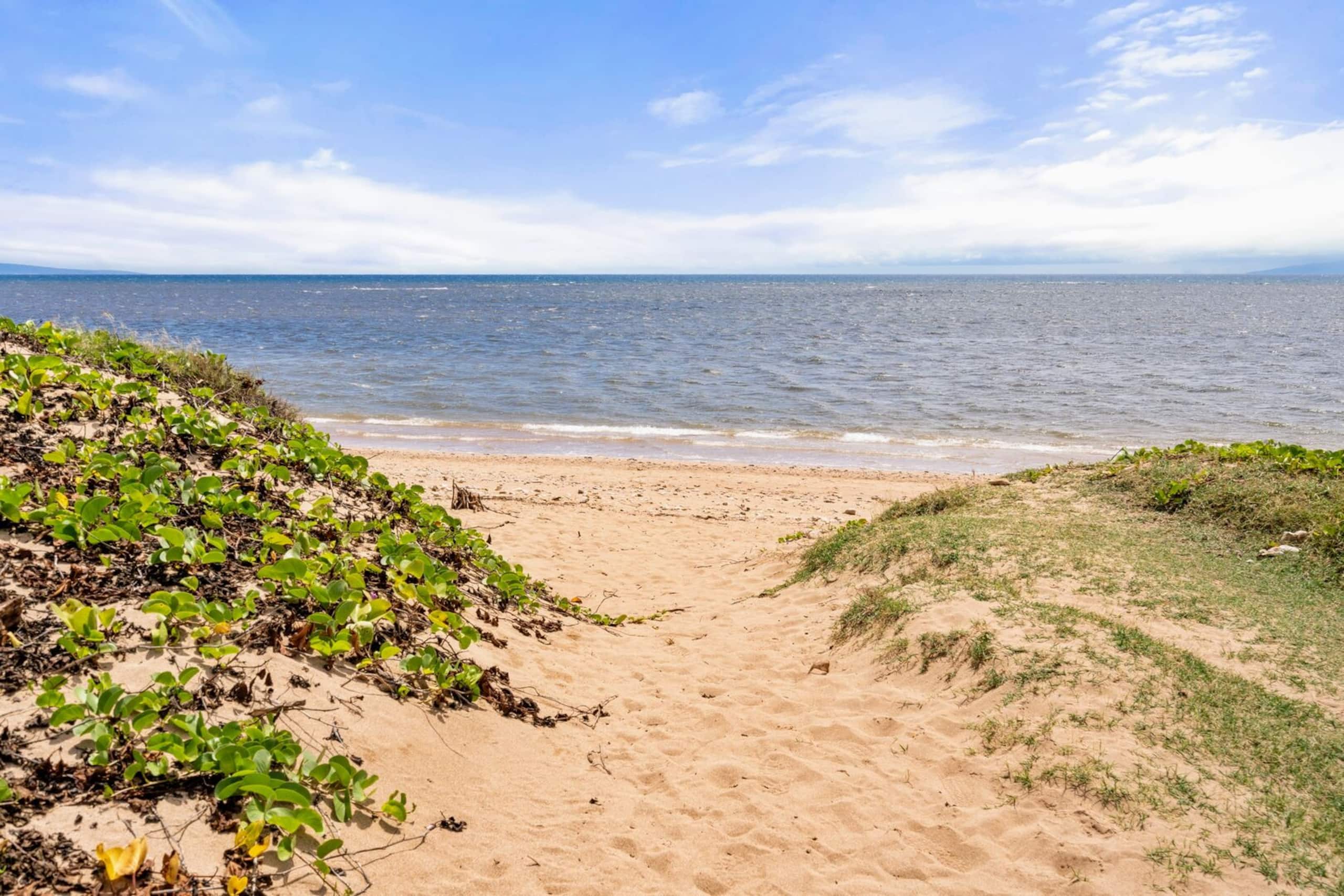 Condo in Kihei · ★4.94 · 1 bedroom · 2 beds · 1 bath - Image 61