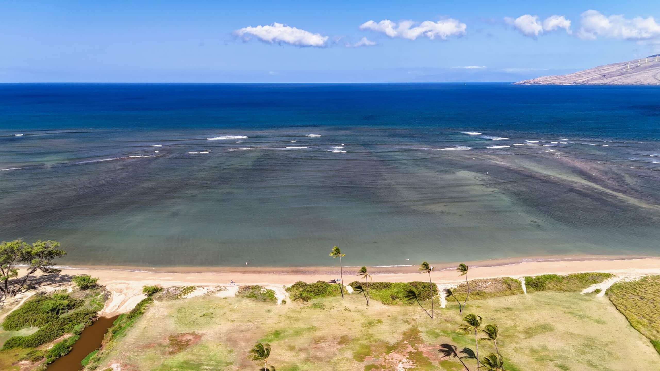 Condo in Kihei · ★4.94 · 1 bedroom · 2 beds · 1 bath - Image 63