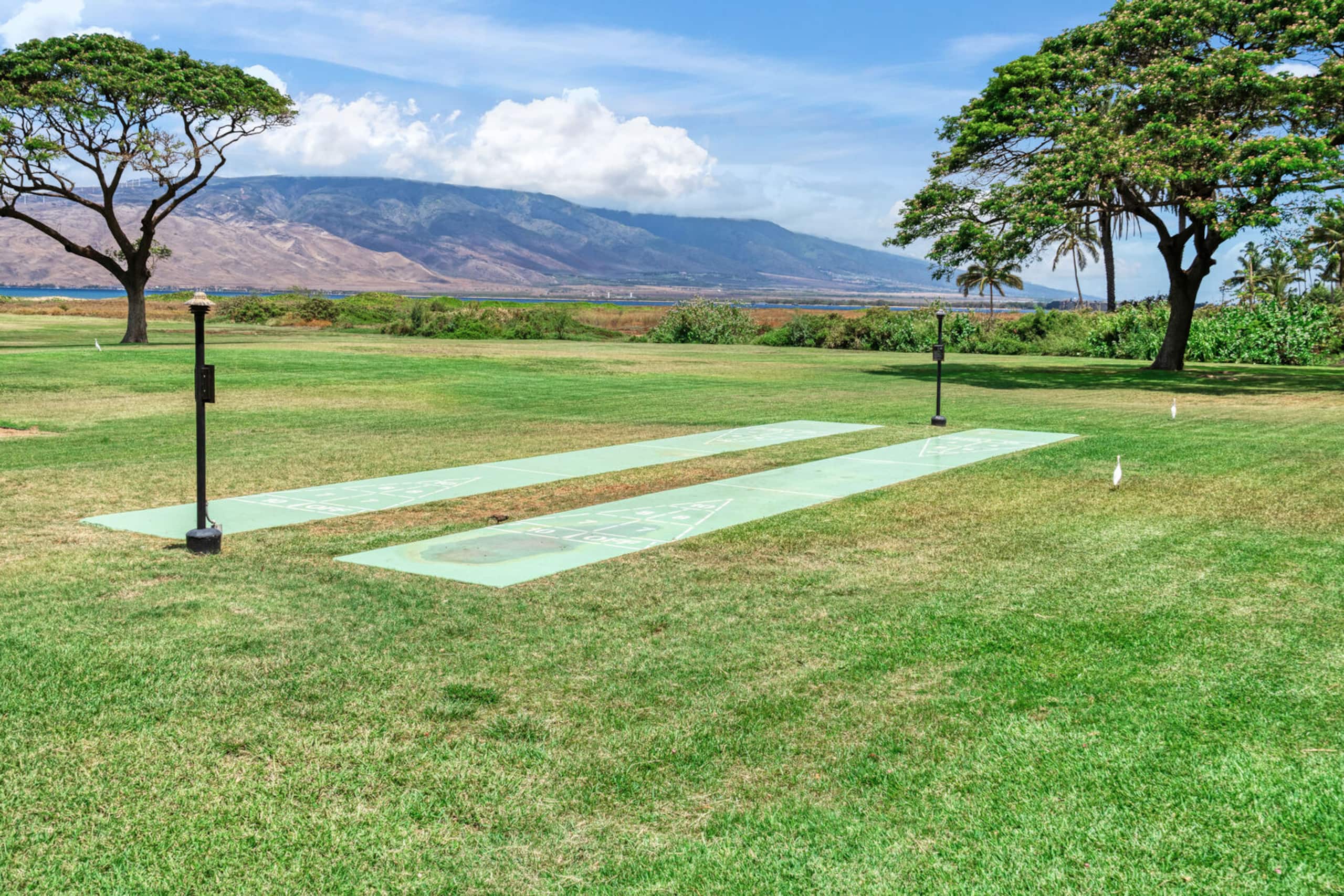 Condo in Kihei · ★4.94 · 1 bedroom · 2 beds · 1 bath - Image 47