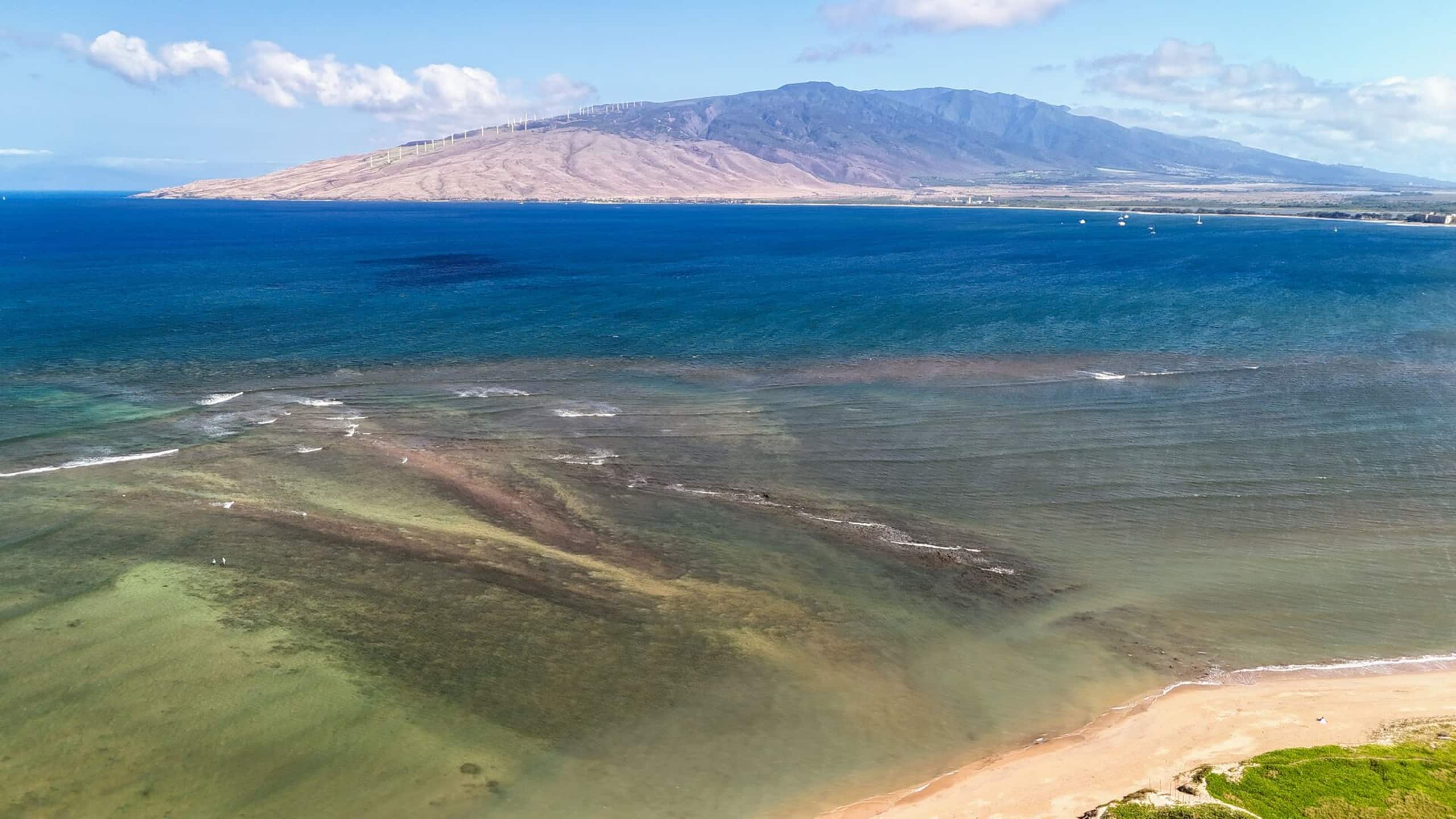 Condo in Kihei · ★4.94 · 1 bedroom · 2 beds · 1 bath - Image 65