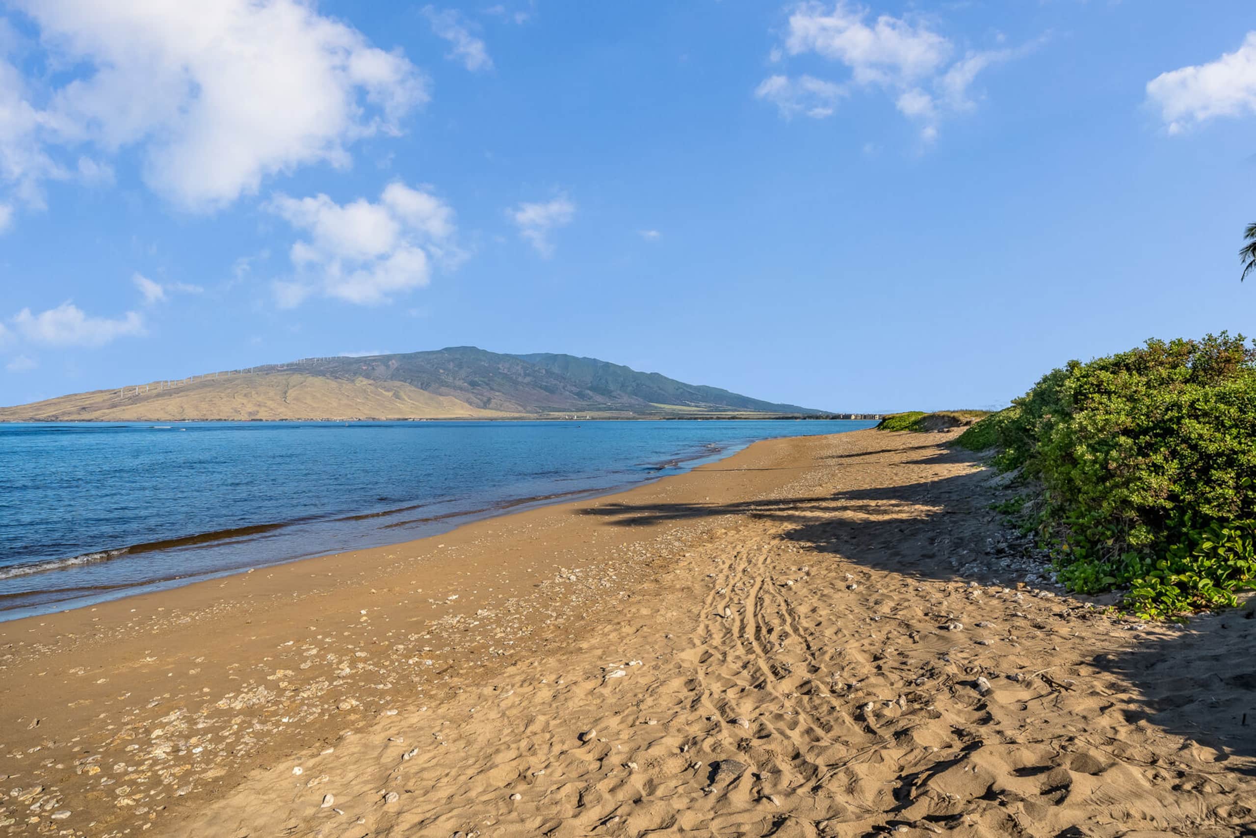 Condo in Kihei · ★4.94 · 1 bedroom · 2 beds · 1 bath - Image 34