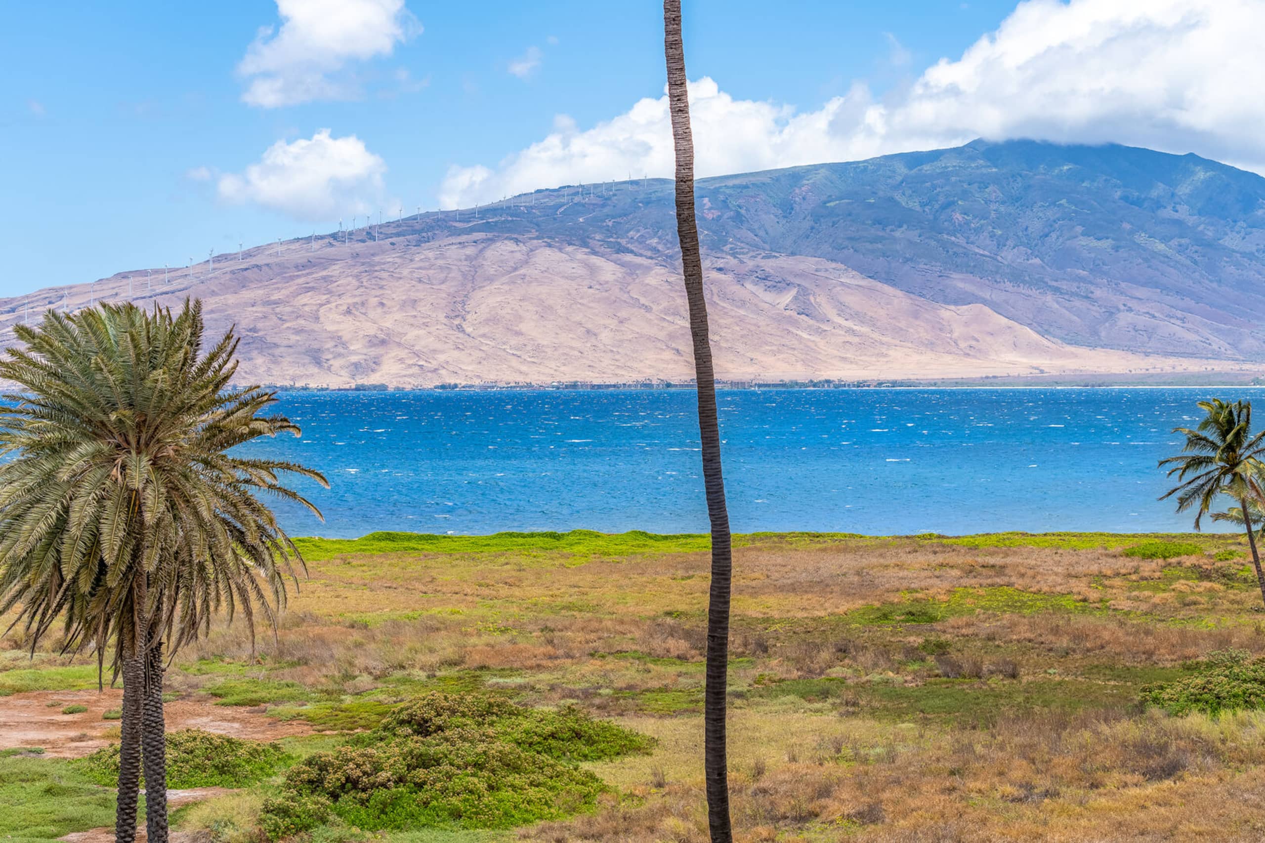 Condo in Kihei · ★4.94 · 1 bedroom · 2 beds · 1 bath - Image 20