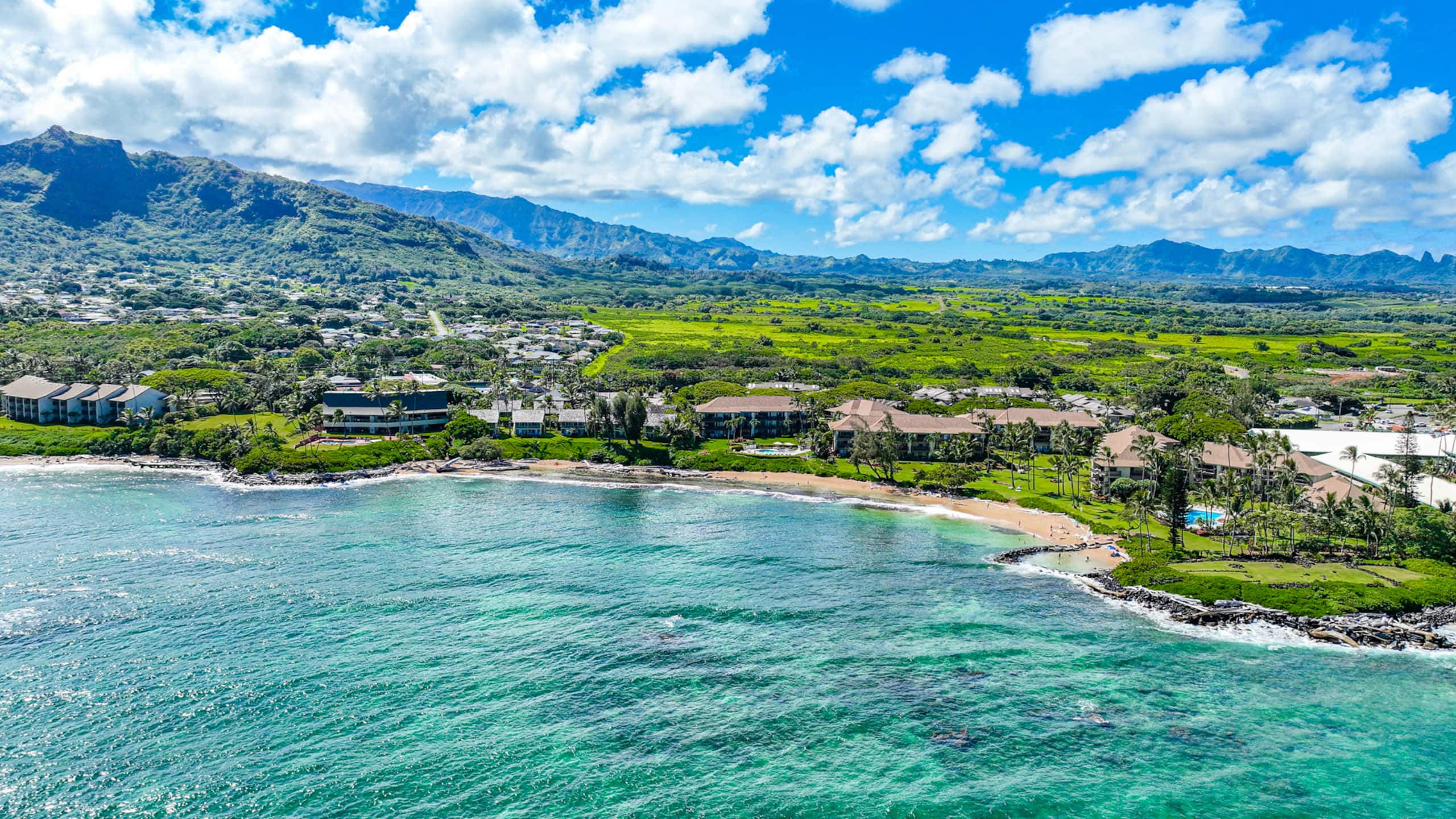 Condo in Kapaa · ★4.67 · 2 bedrooms · 3 beds · 1 bath - Image 41