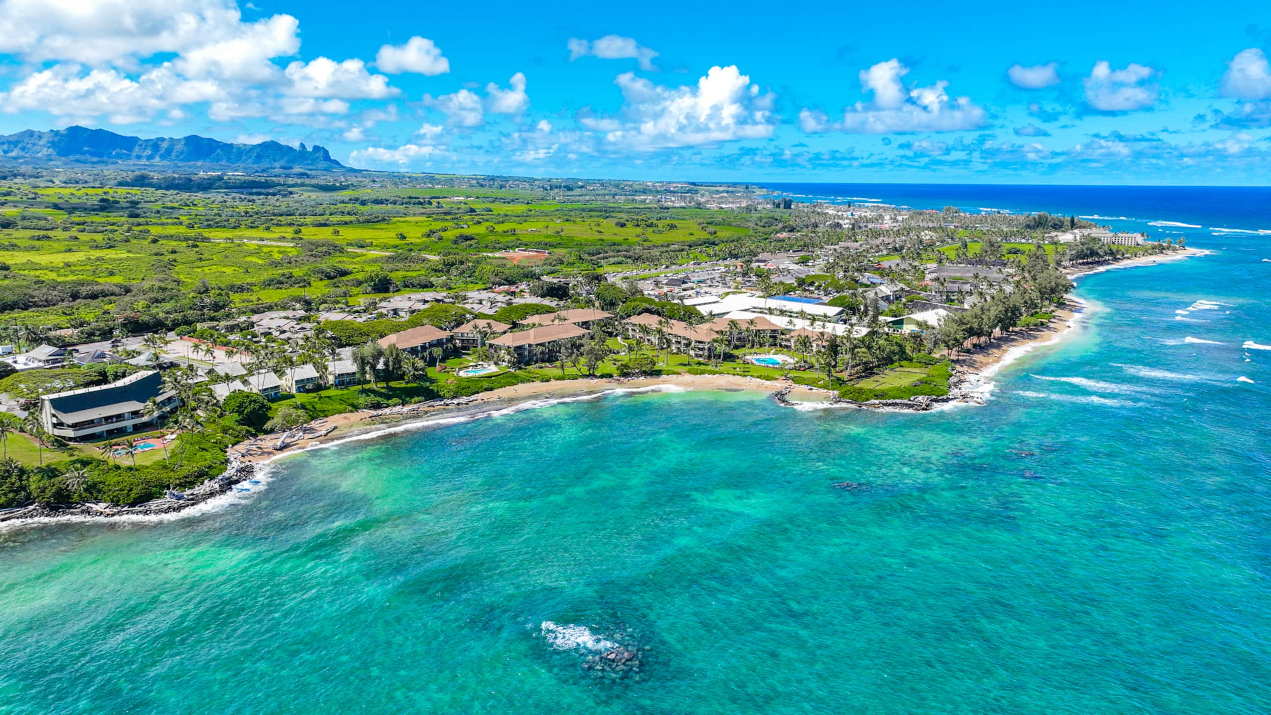 Condo in Kapaa · ★4.67 · 2 bedrooms · 3 beds · 1 bath - Image 39