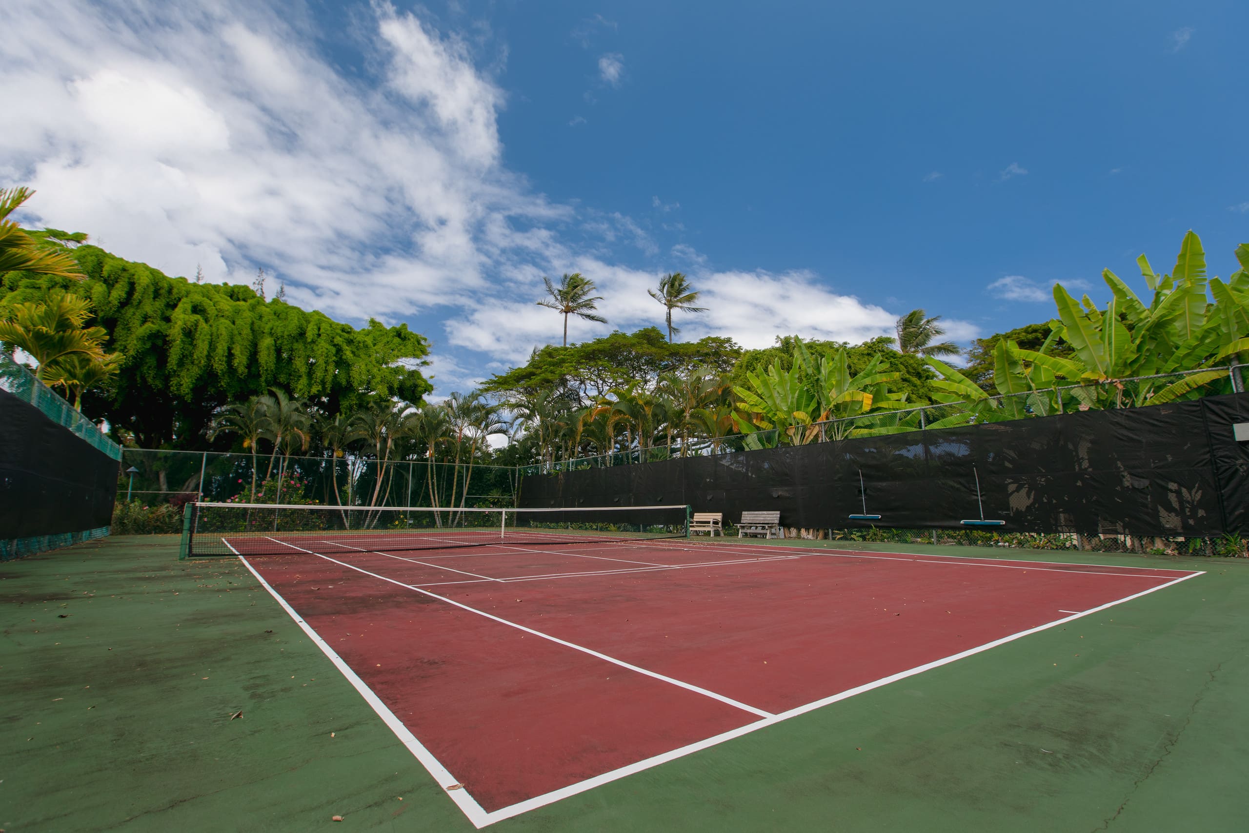 Condo in Kapaa · ★4.67 · 2 bedrooms · 3 beds · 1 bath - Image 38