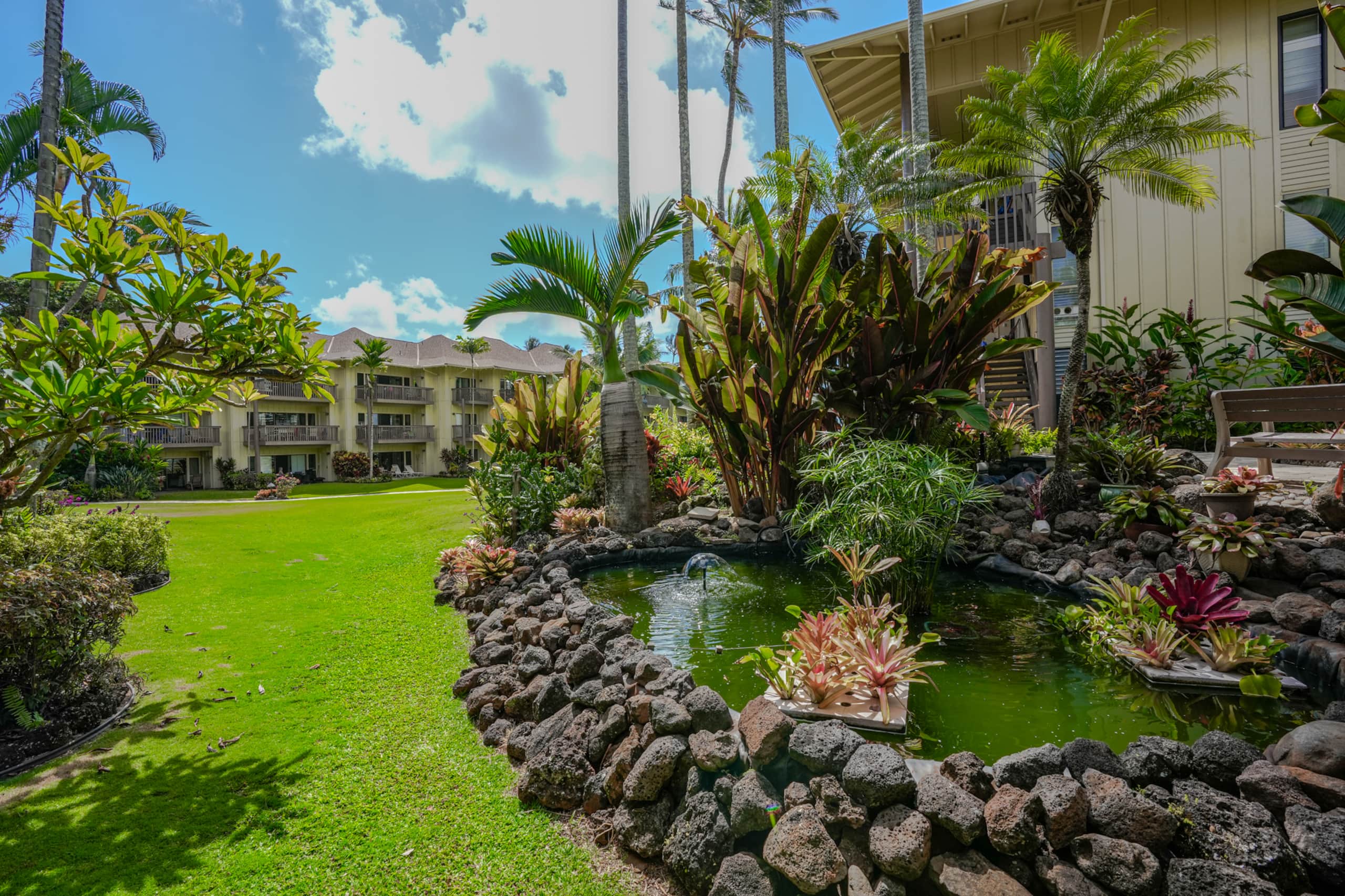 Condo in Kapaa · ★4.67 · 2 bedrooms · 3 beds · 1 bath - Image 35