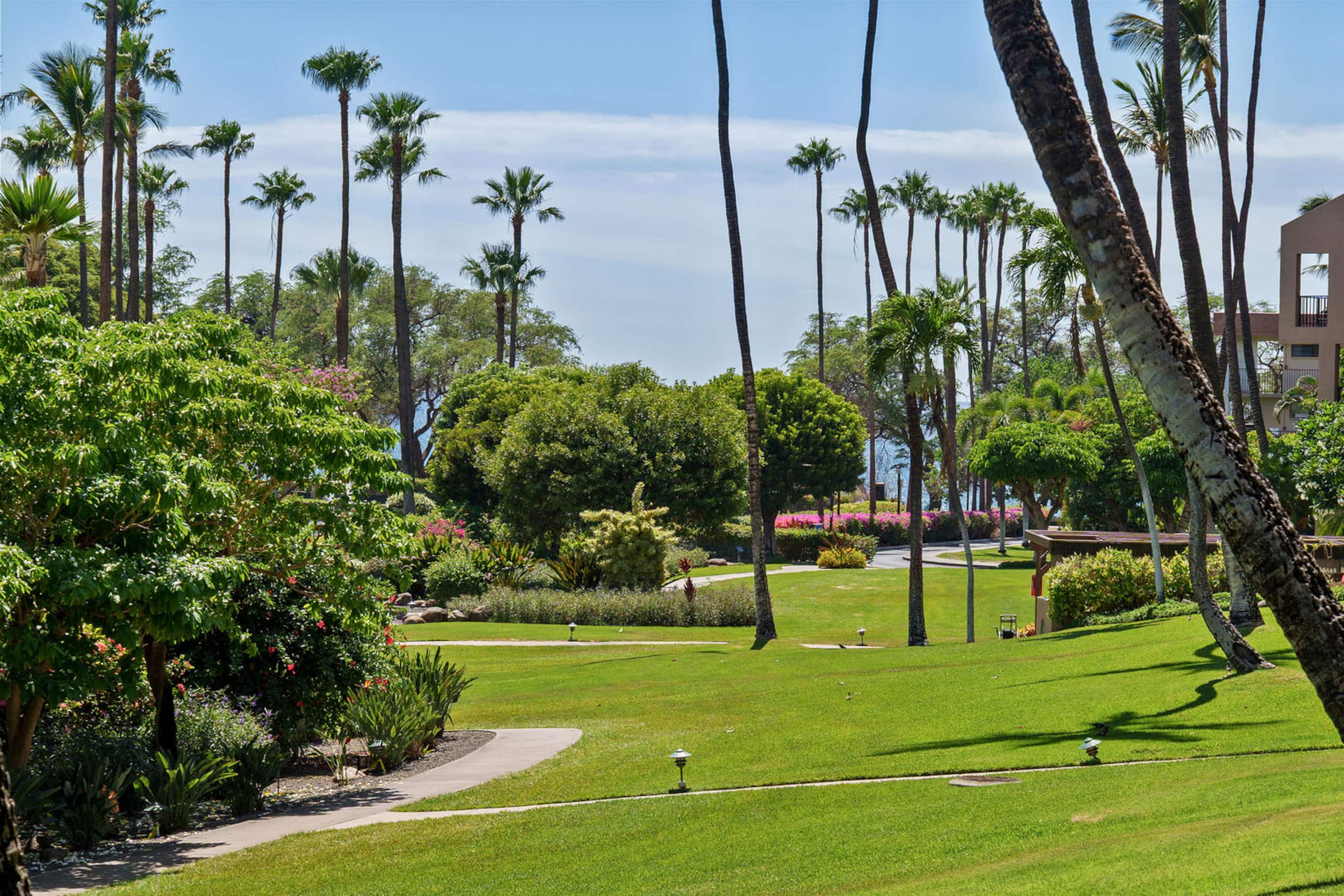 Condo in Kihei · ★5.0 · 1 bedroom · 1 bed · 2 baths - Image 28