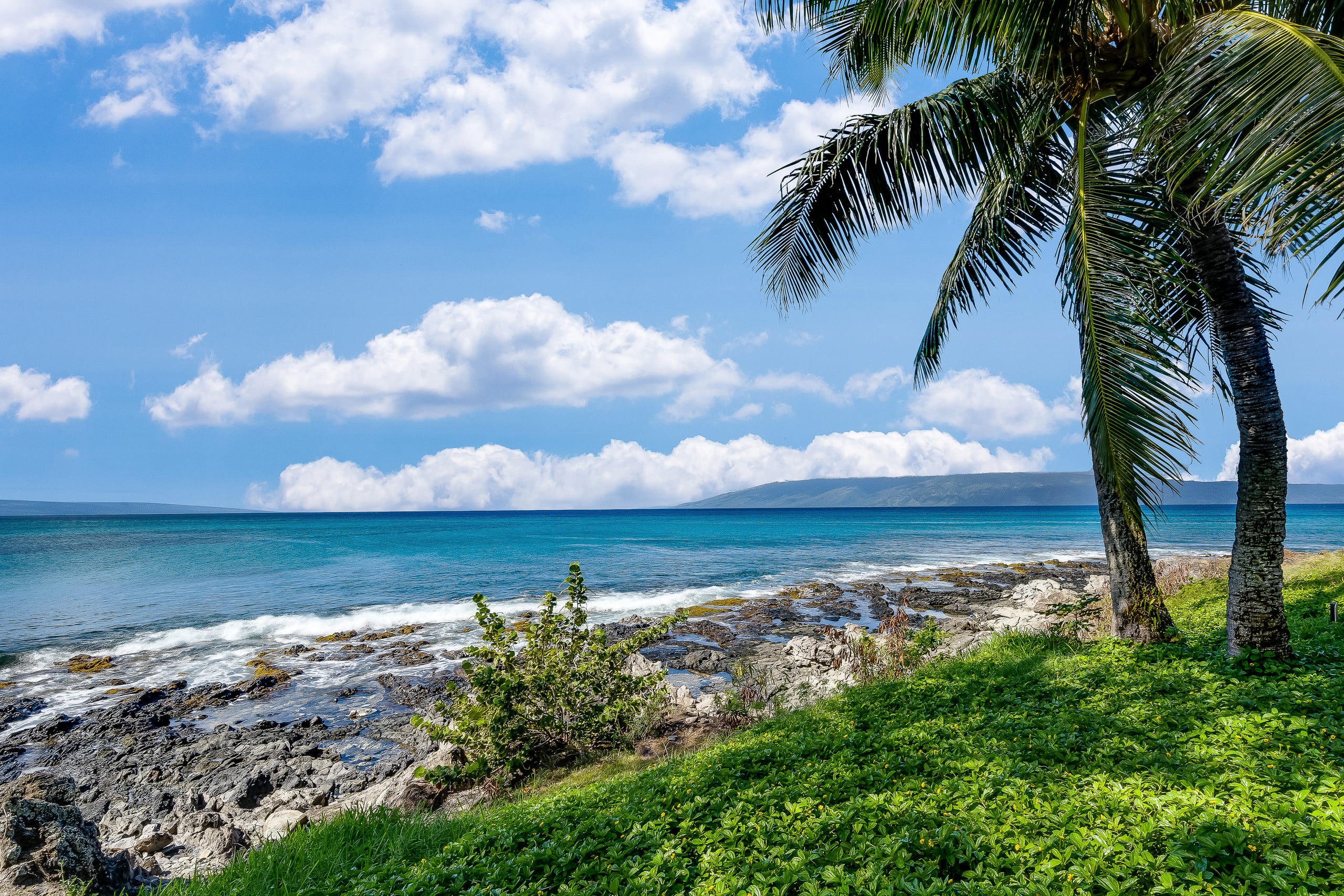 Condo in Lahaina · ★5.0 · 1 bedroom · 2 beds · 1 bath - Image 31