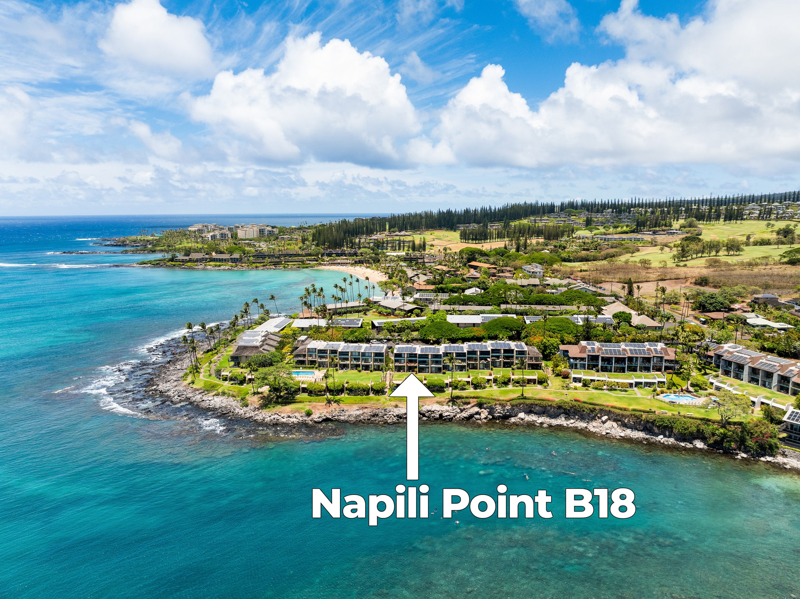 Condo in Lahaina · ★5.0 · 1 bedroom · 2 beds · 1 bath - Image 44