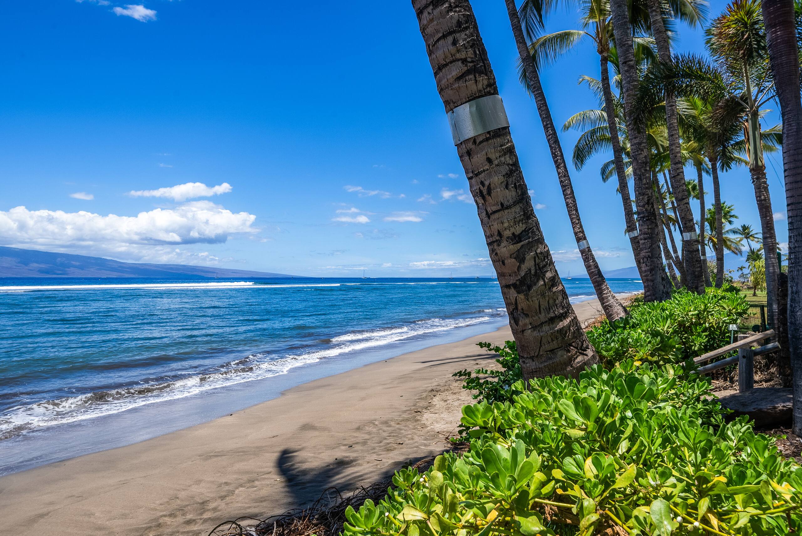 Condo in Lahaina · ★5.0 · 1 bedroom · 1 bed · 1 bath - Image 48