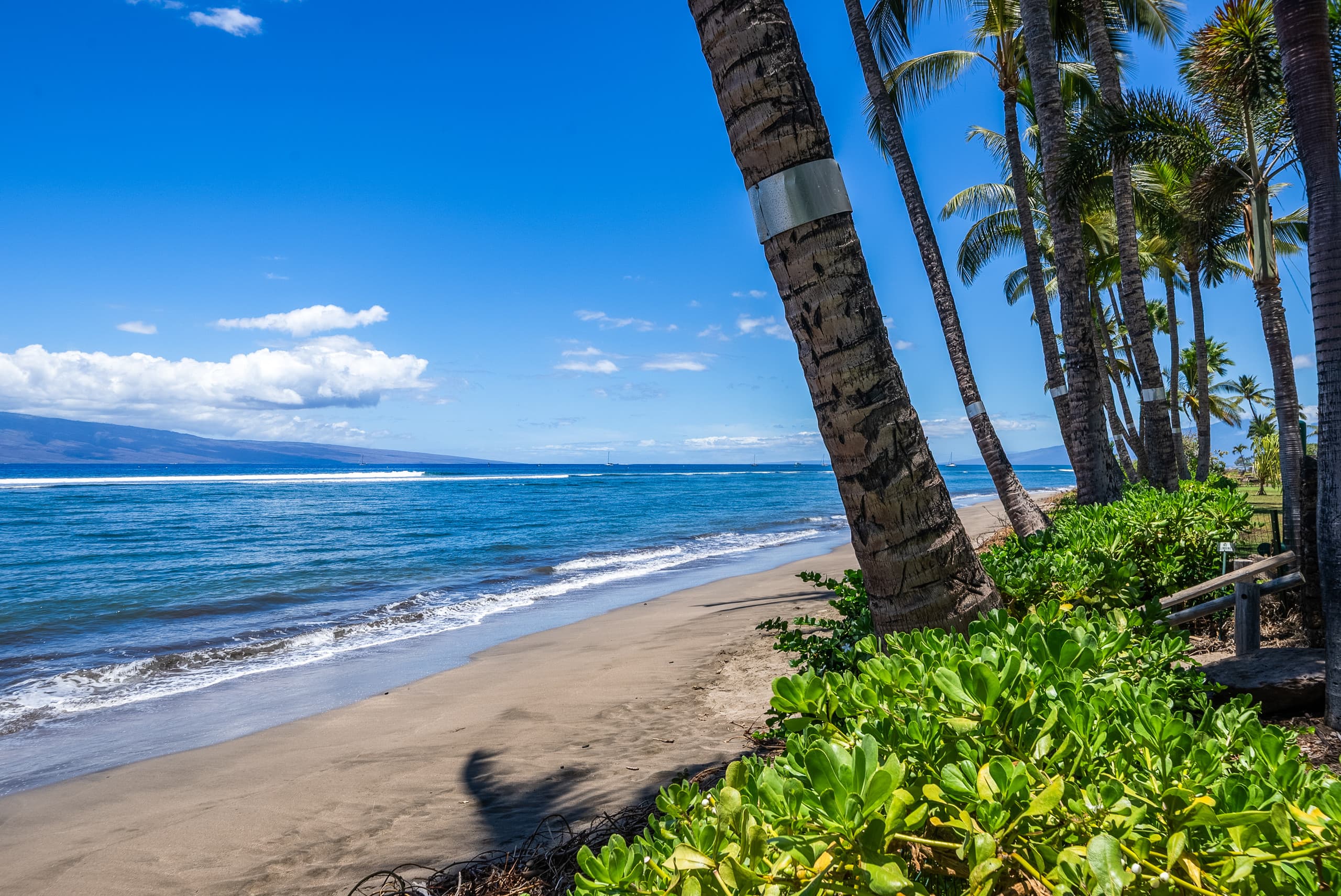 Condo in Lahaina · ★5.0 · 1 bedroom · 2 beds · 2 baths - Image 37