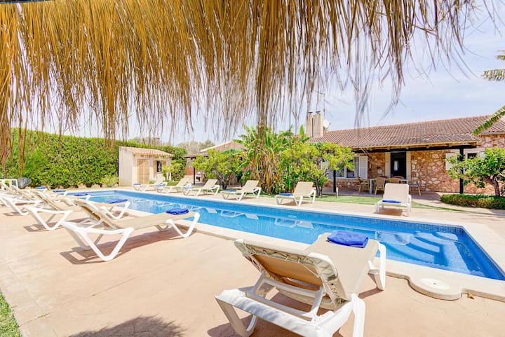 Can Amer Ref 256 - Porto Cristo