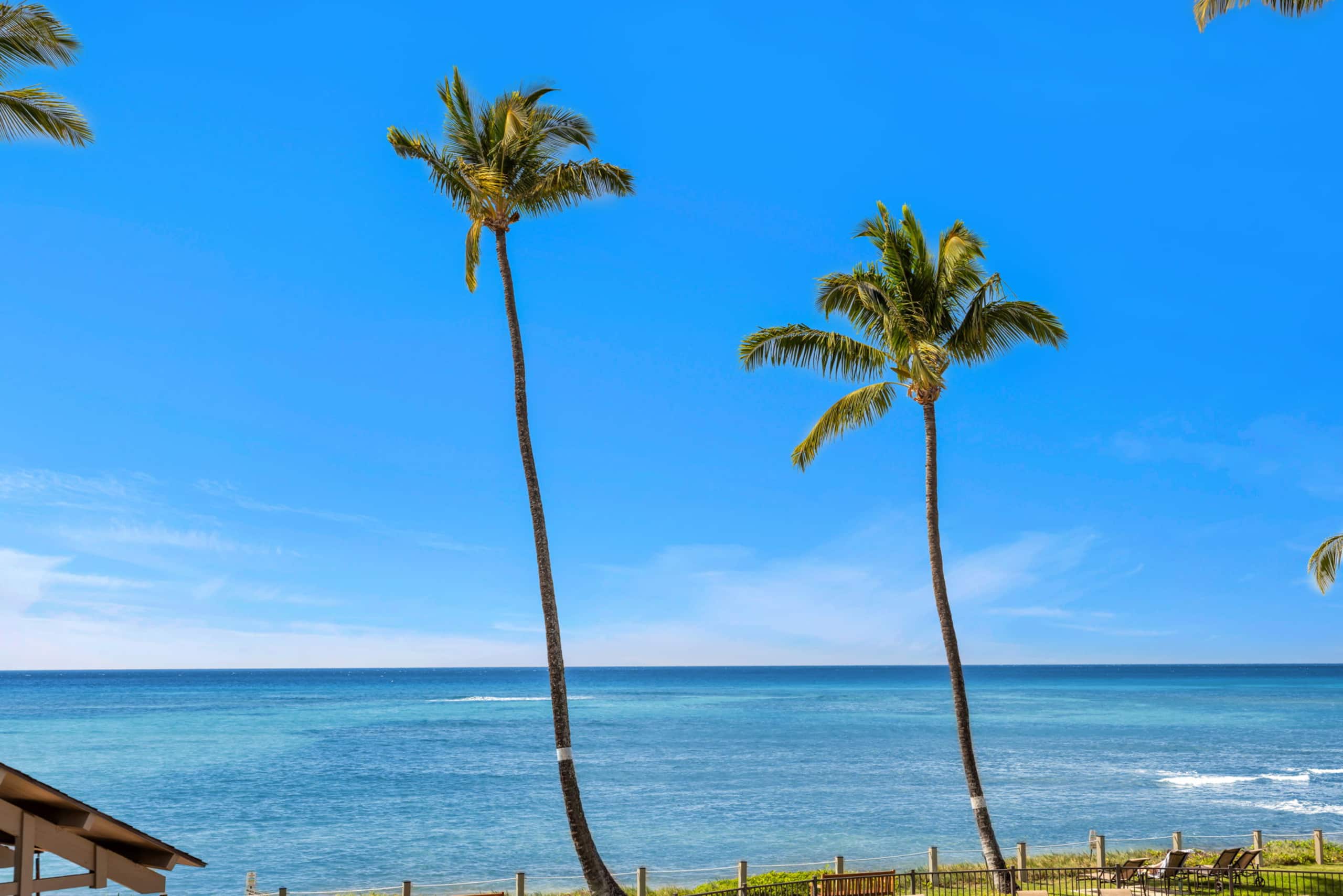Condo in Lahaina · ★4.8 · 2 bedrooms · 4 beds · 2 baths - Image 45