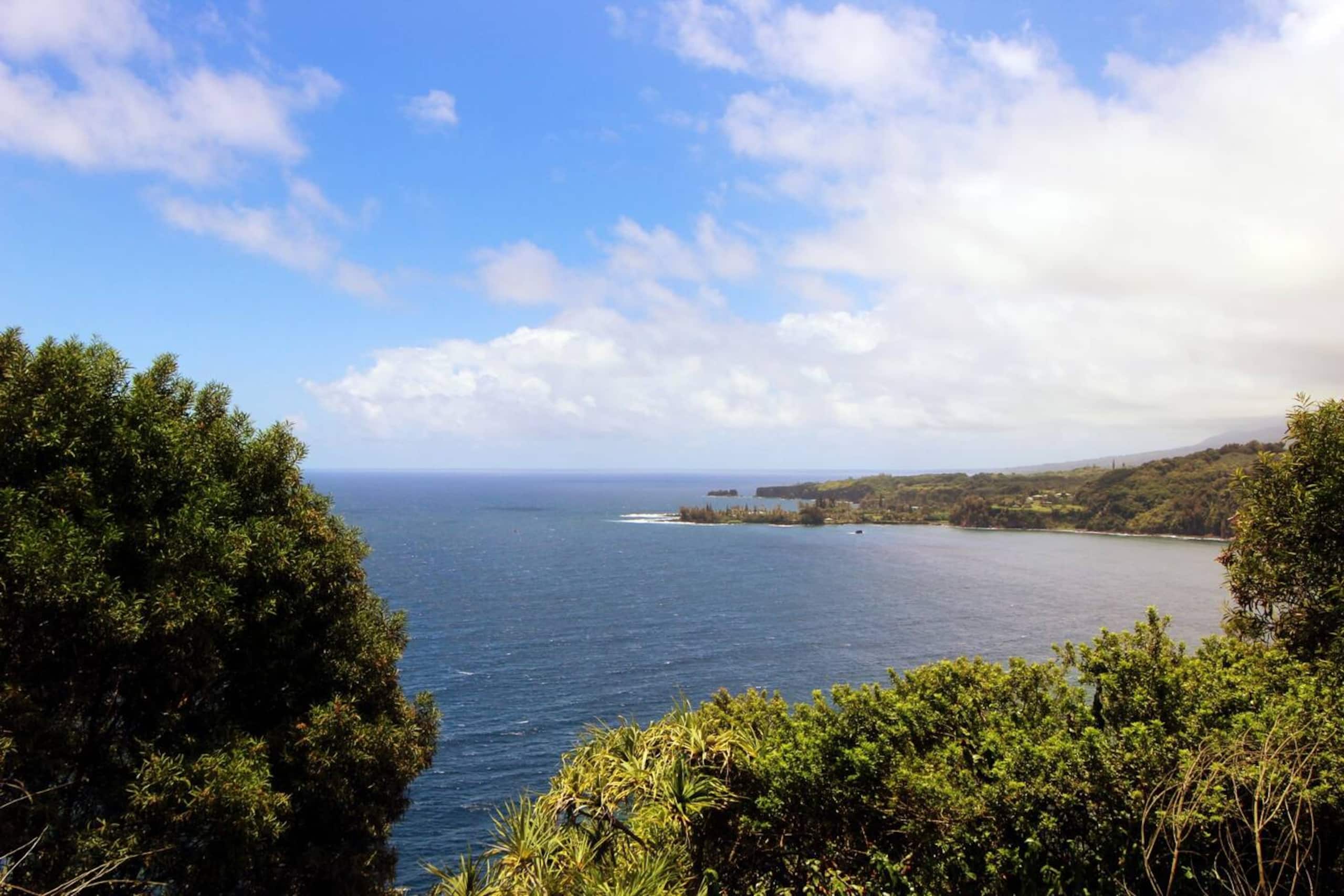 Condo in Kihei · ★4.87 · 3 bedrooms · 3 beds · 2 private baths - Image 29