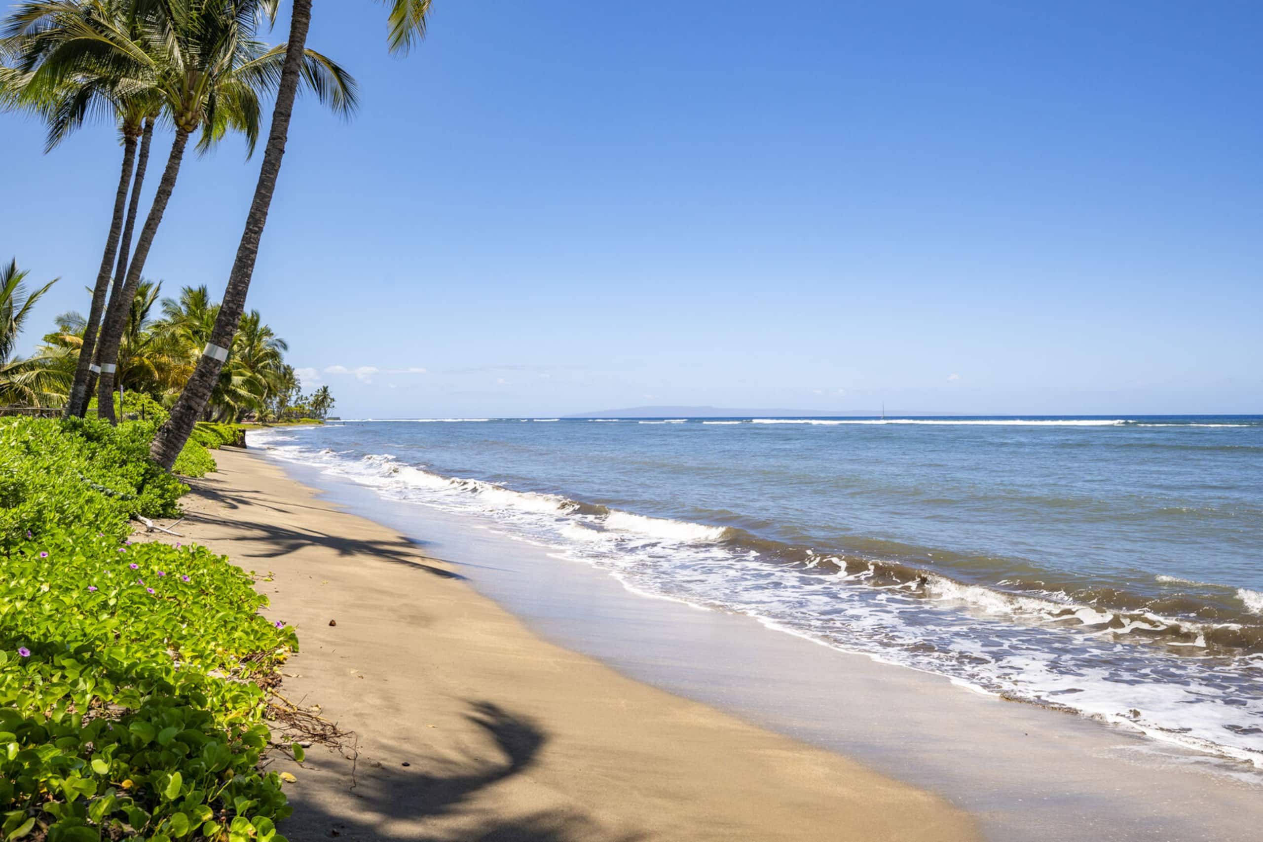 Relaxing Beachfront Studio Retreat – Lahaina Shore - Image 25