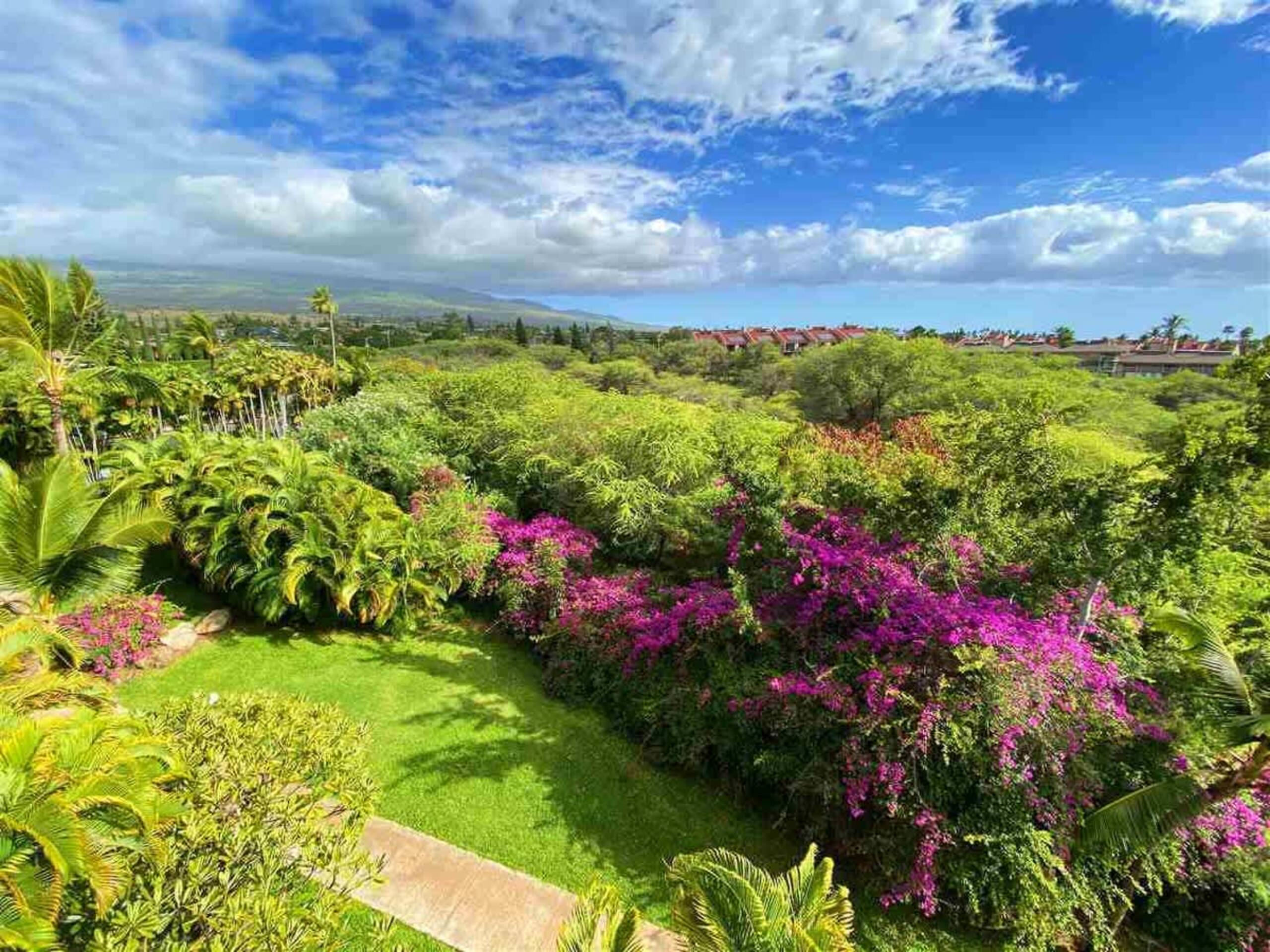 Condo in Kihei · ★4.5 · 1 bedroom · 1 bed · 1 bath - Image 38