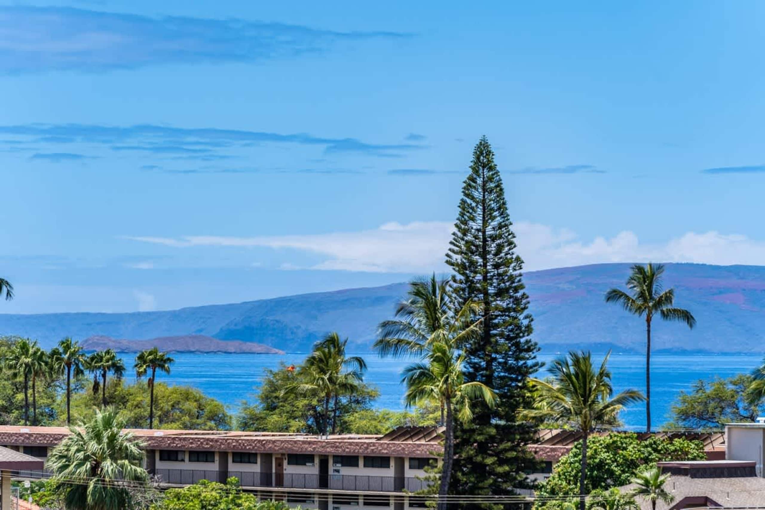 Condo in Kihei · ★4.5 · 1 bedroom · 1 bed · 1 bath - Image 31