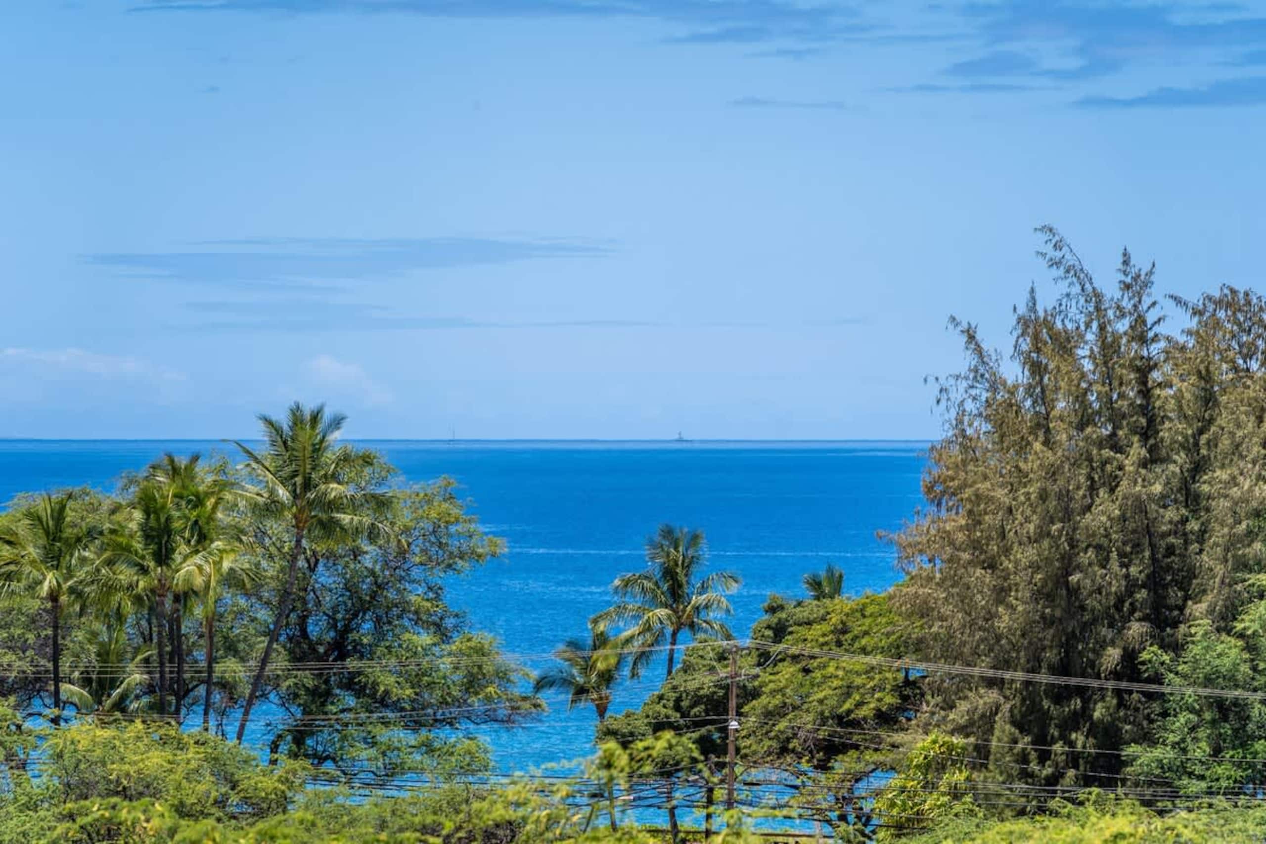 Condo in Kihei · ★4.5 · 1 bedroom · 1 bed · 1 bath - Image 32