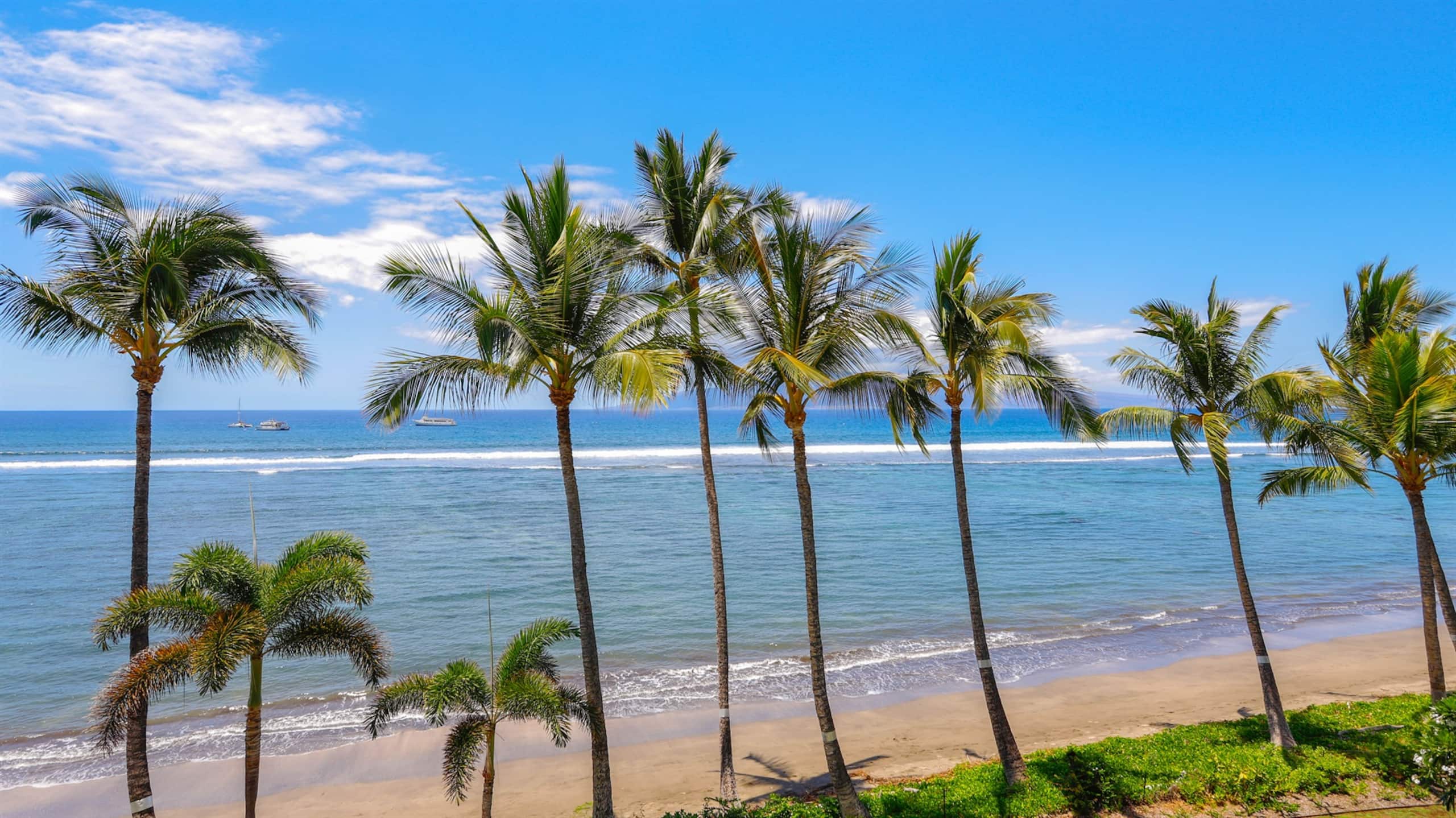 Condo in Lahaina · ★5.0 · Studio · 1 bed · 1 bath - Image 4
