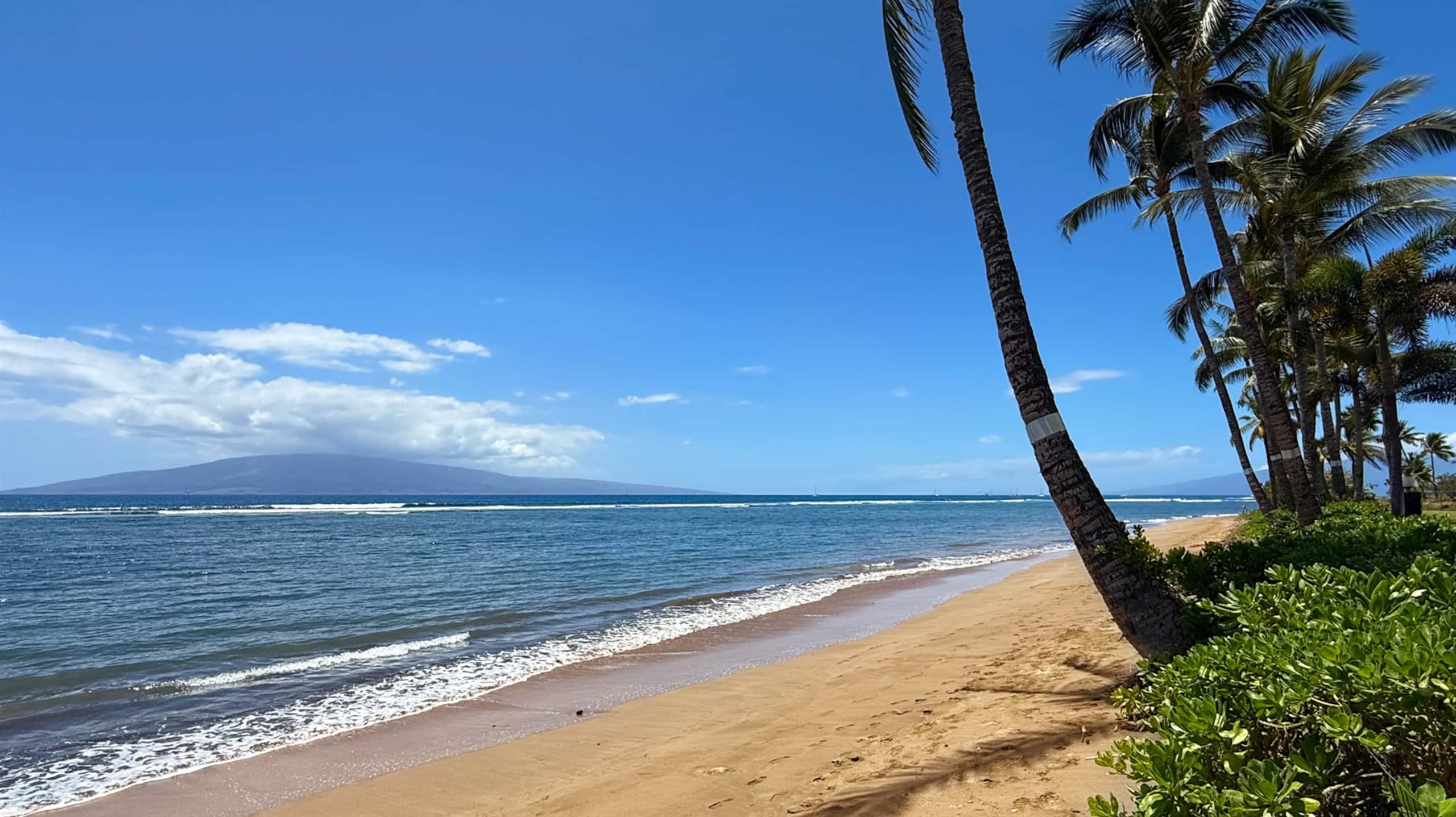 Condo in Lahaina · ★5.0 · Studio · 1 bed · 1 bath - Image 6