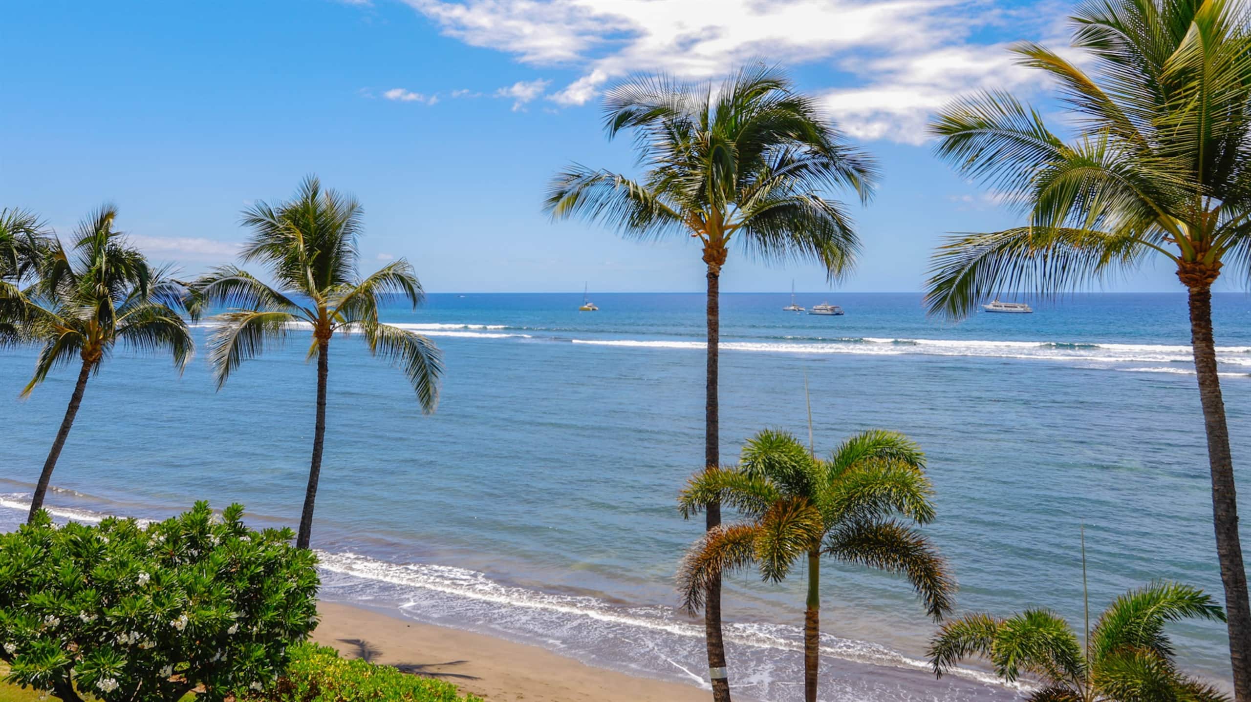 Condo in Lahaina · ★5.0 · Studio · 1 bed · 1 bath - Image 5