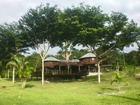 Exotic Off-The-Grid Treehouse Mopan River!