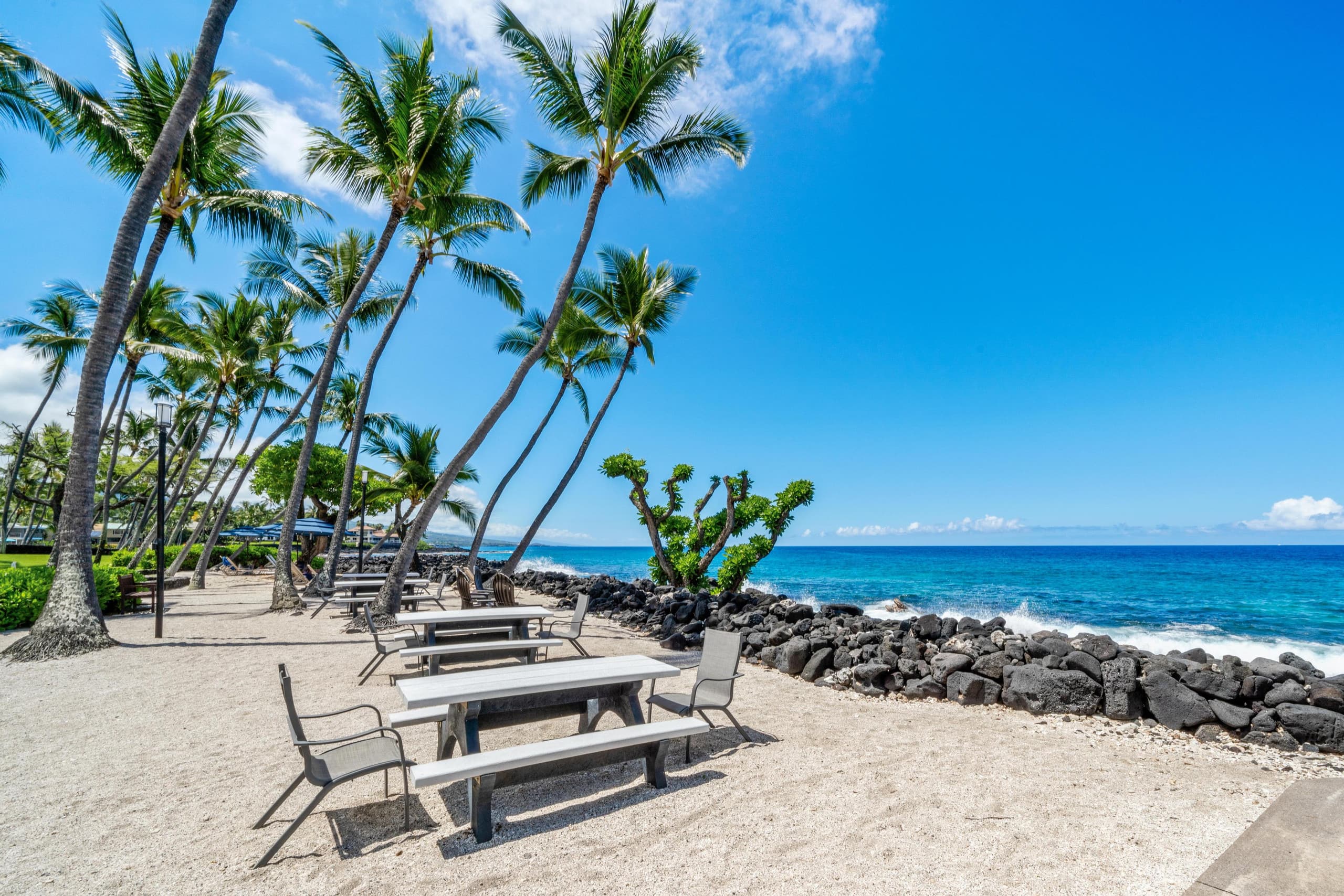 Condo in Kailua-Kona · ★4.67 · 1 bedroom · 1 bed · 1 bath - Image 19