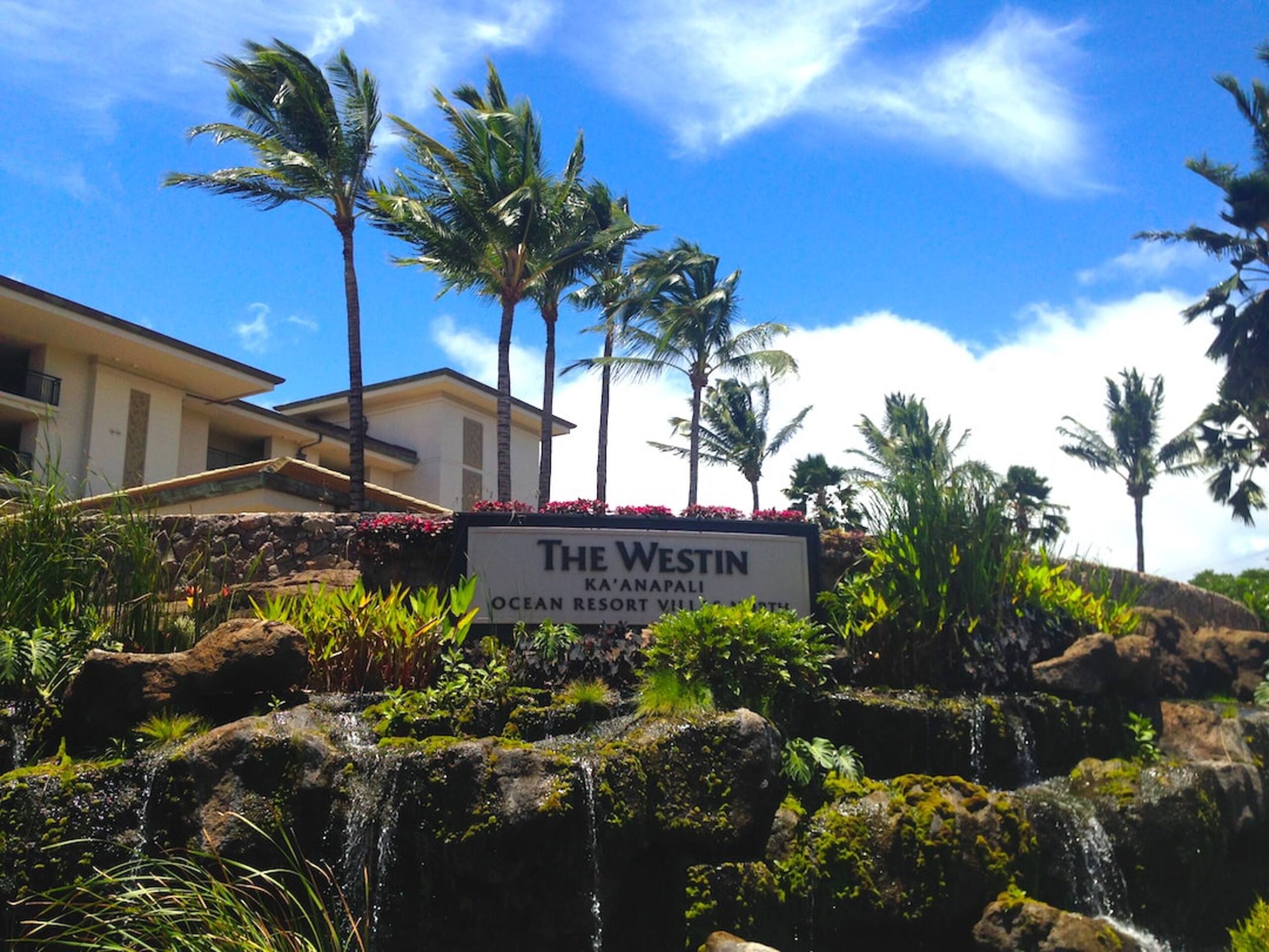 Condo in Lahaina · ★5.0 · 2 bedrooms · 4 beds · 2 baths - Image 20