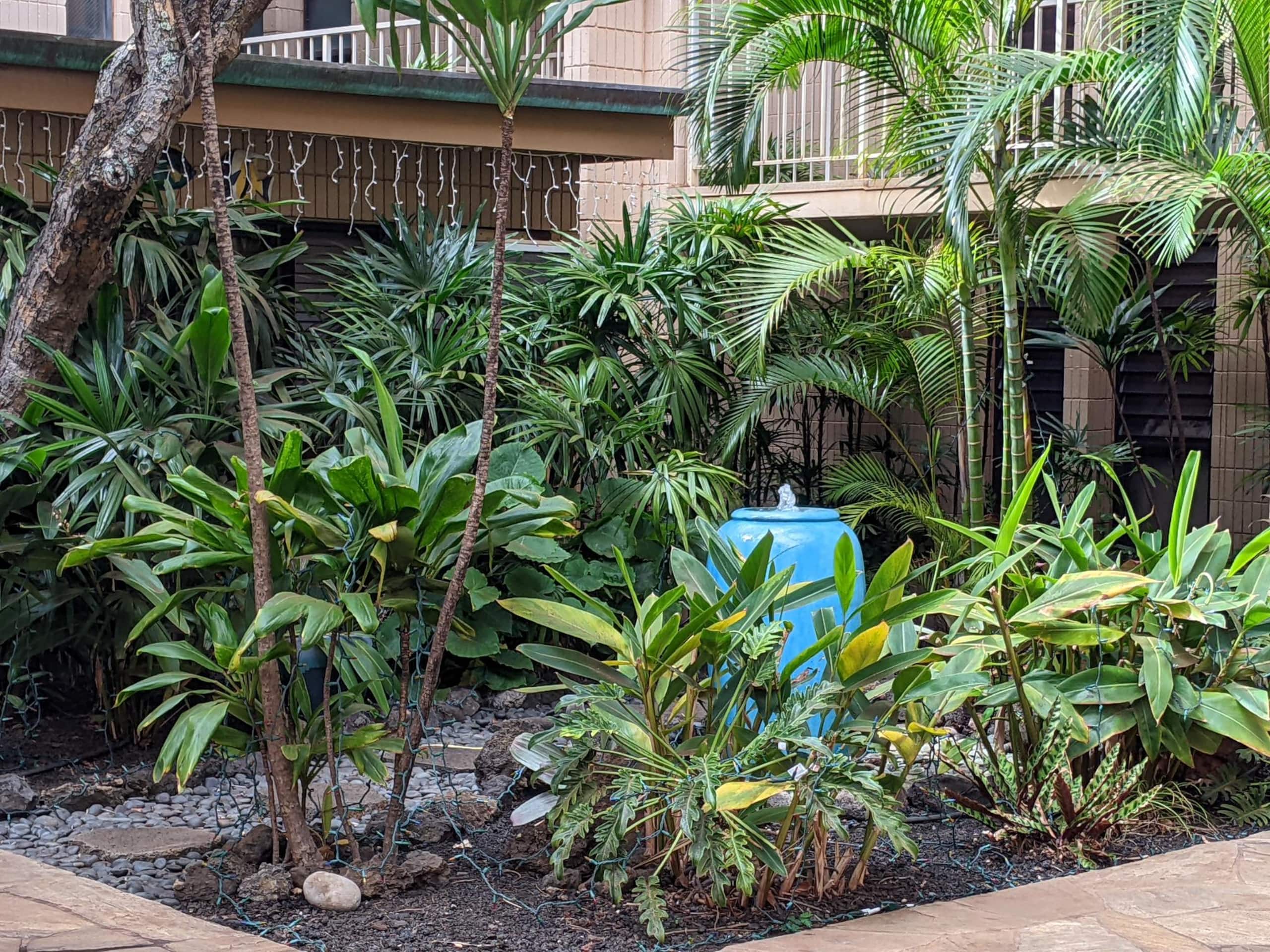 Condo in Lahaina · ★4.81 · 1 bedroom · 1 bed · 1 bath - Image 43