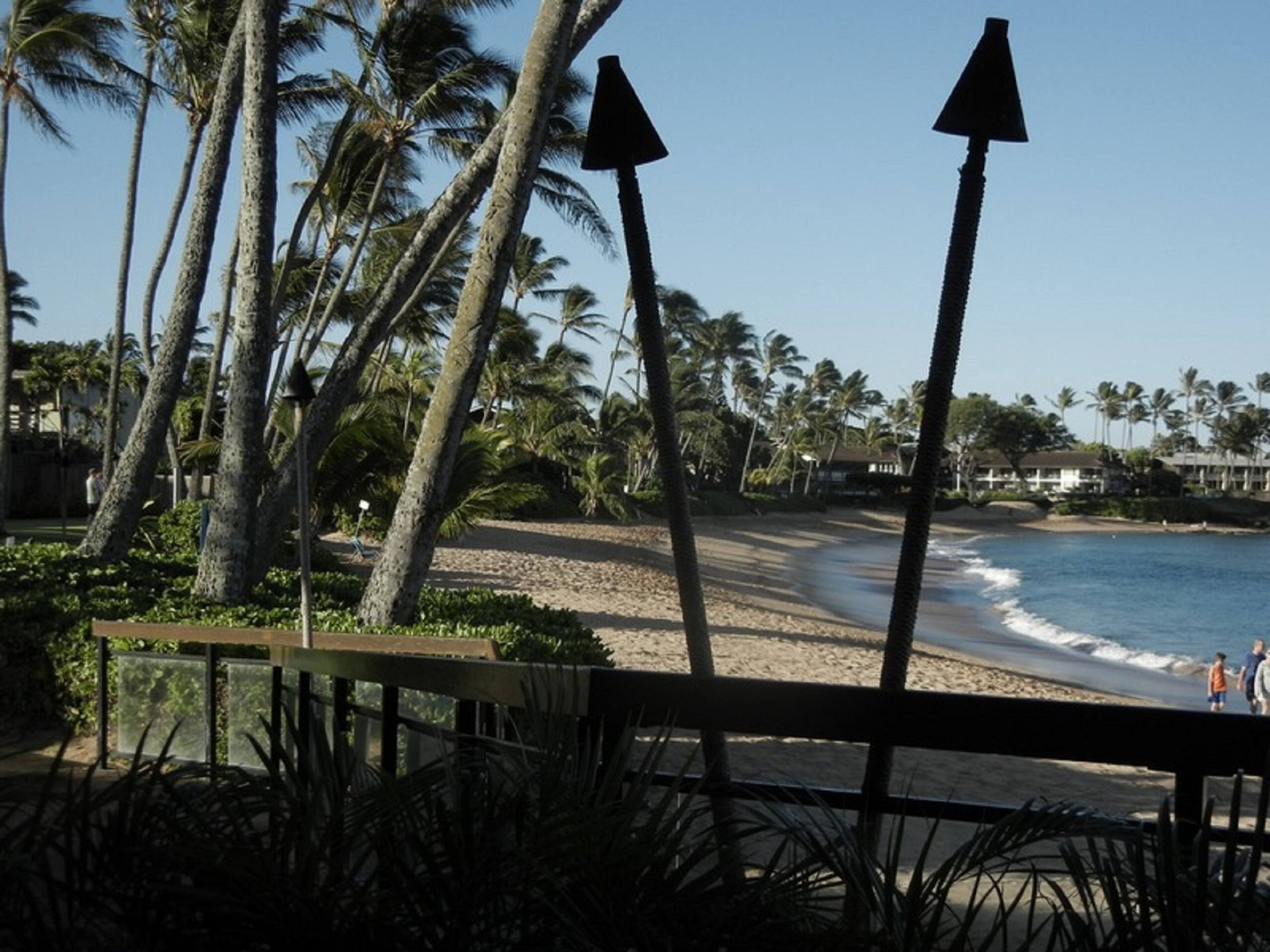 Condo in Lahaina · ★4.81 · 1 bedroom · 1 bed · 1 bath - Image 48