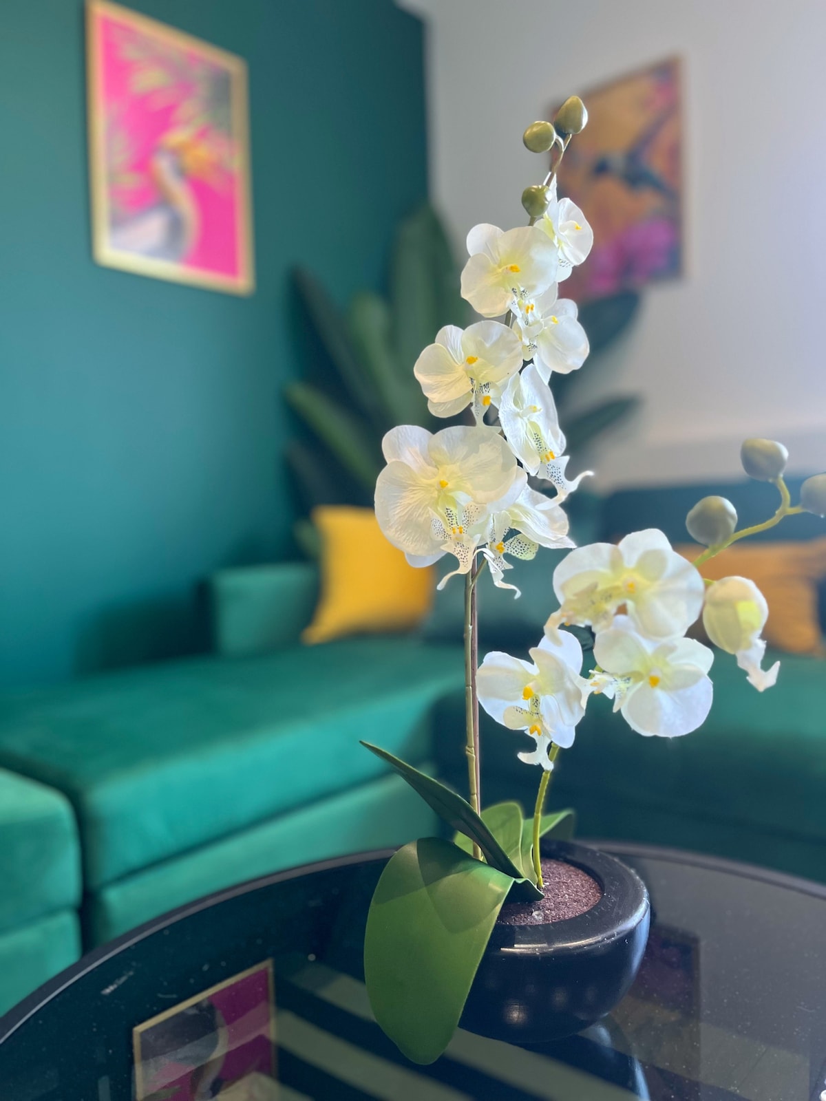 Luxury Norwich City Centre Flat