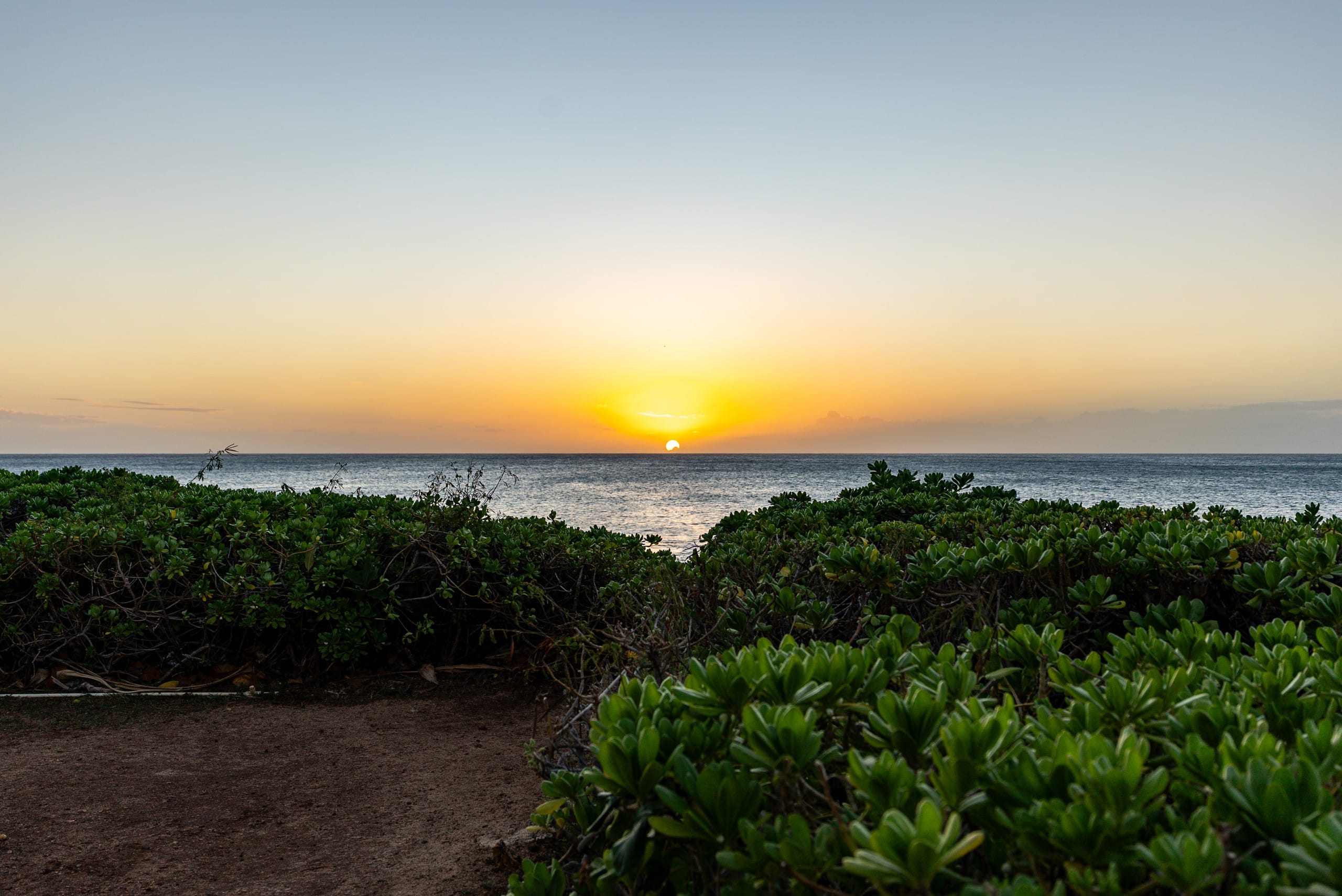 Condo in Kapolei · ★5.0 · 2 bedrooms · 4 beds · 2 private baths - Image 37