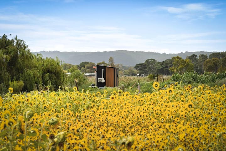 Revillaging Project By Tiny Away - Cape Schanck
