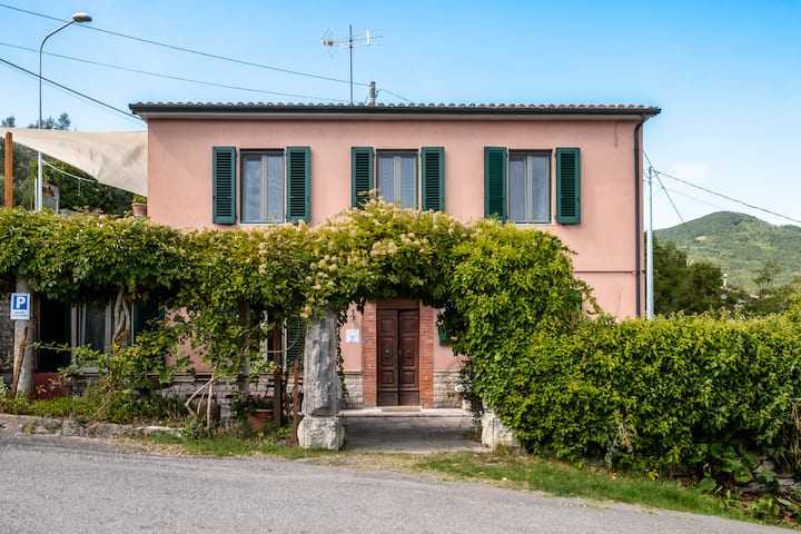 La Balena Rosa - Monte Amiata